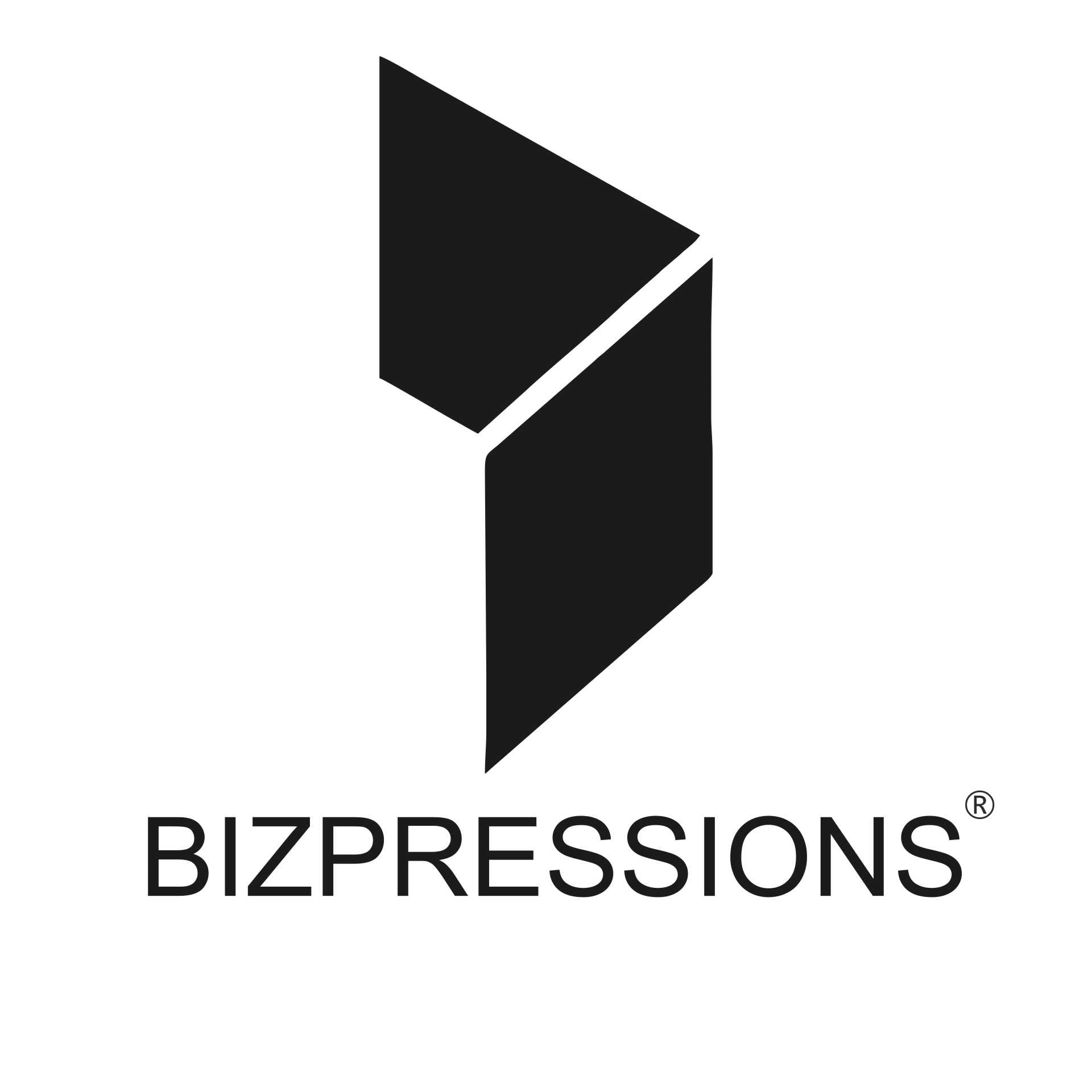 Bizpressions