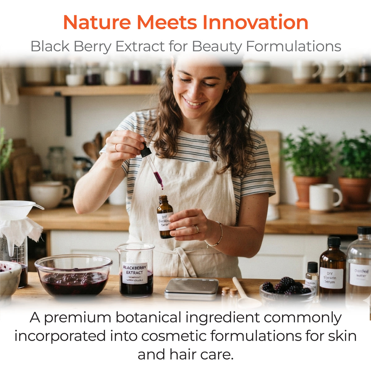 Black Berry Extract