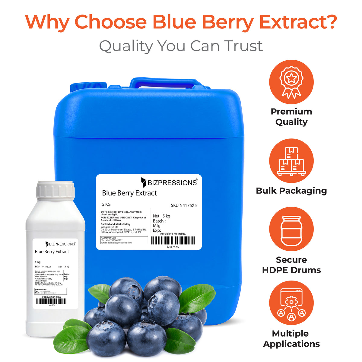 Blue Berry Extract
