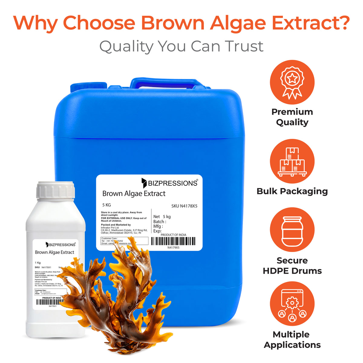 Brown Algae Extract