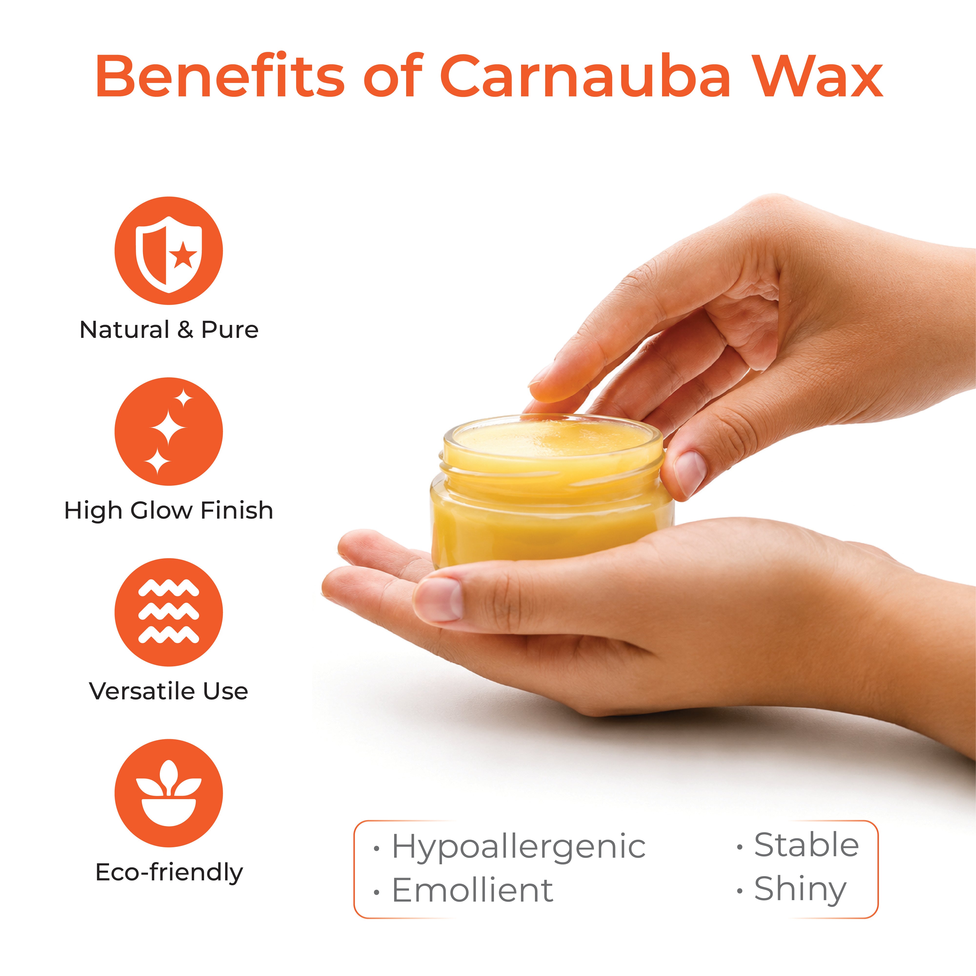 Carnauba Wax