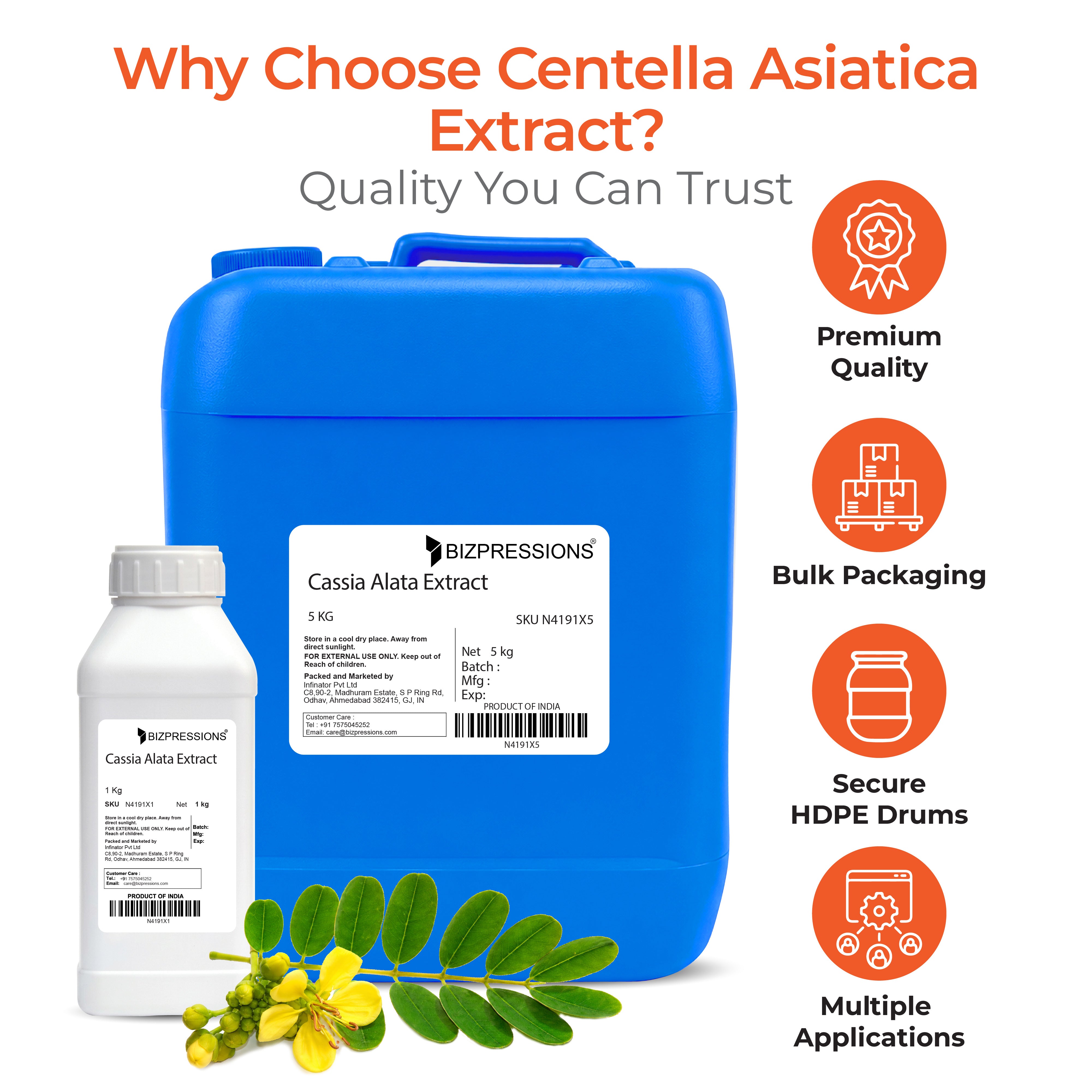 Cassia Alata Extract