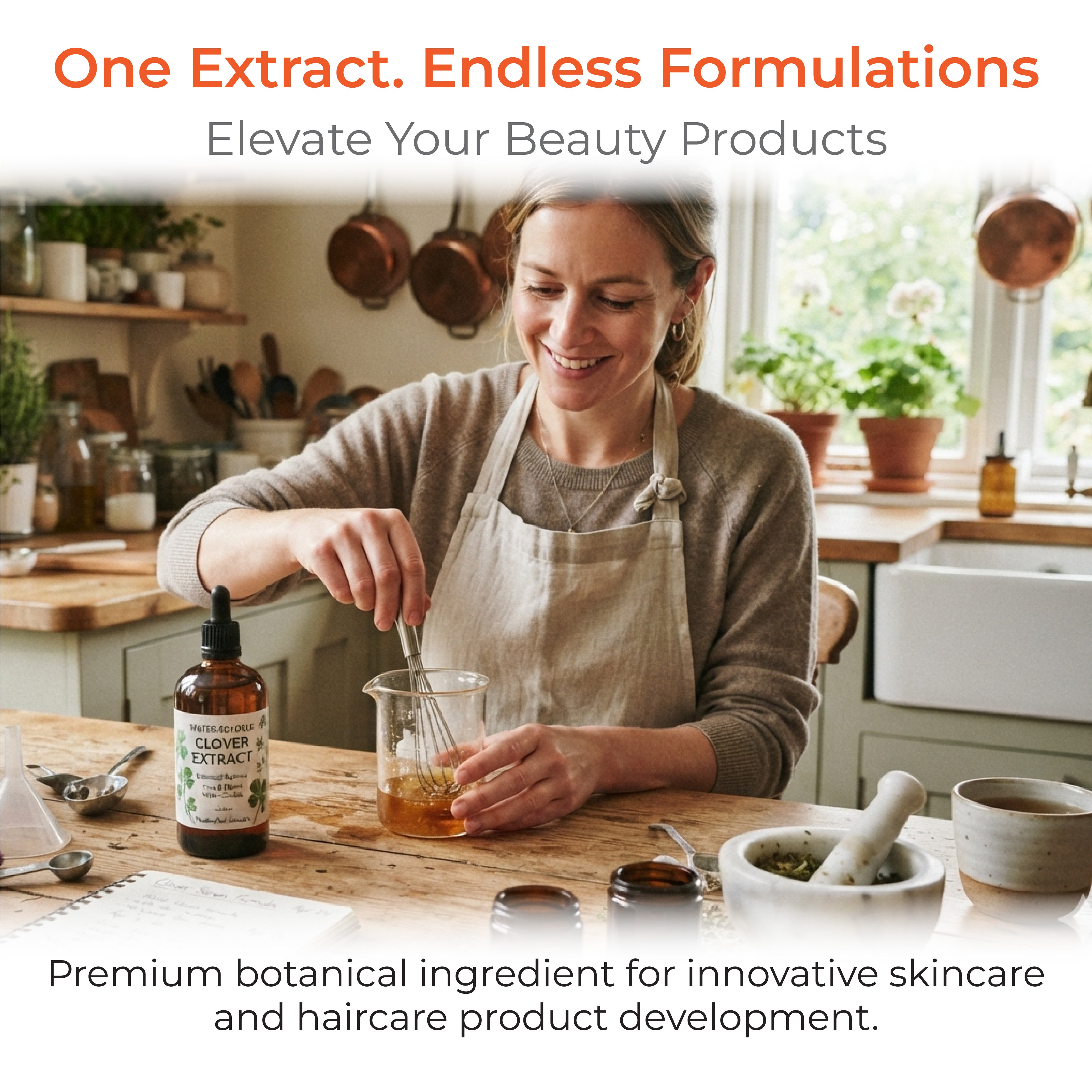 Clove Extract