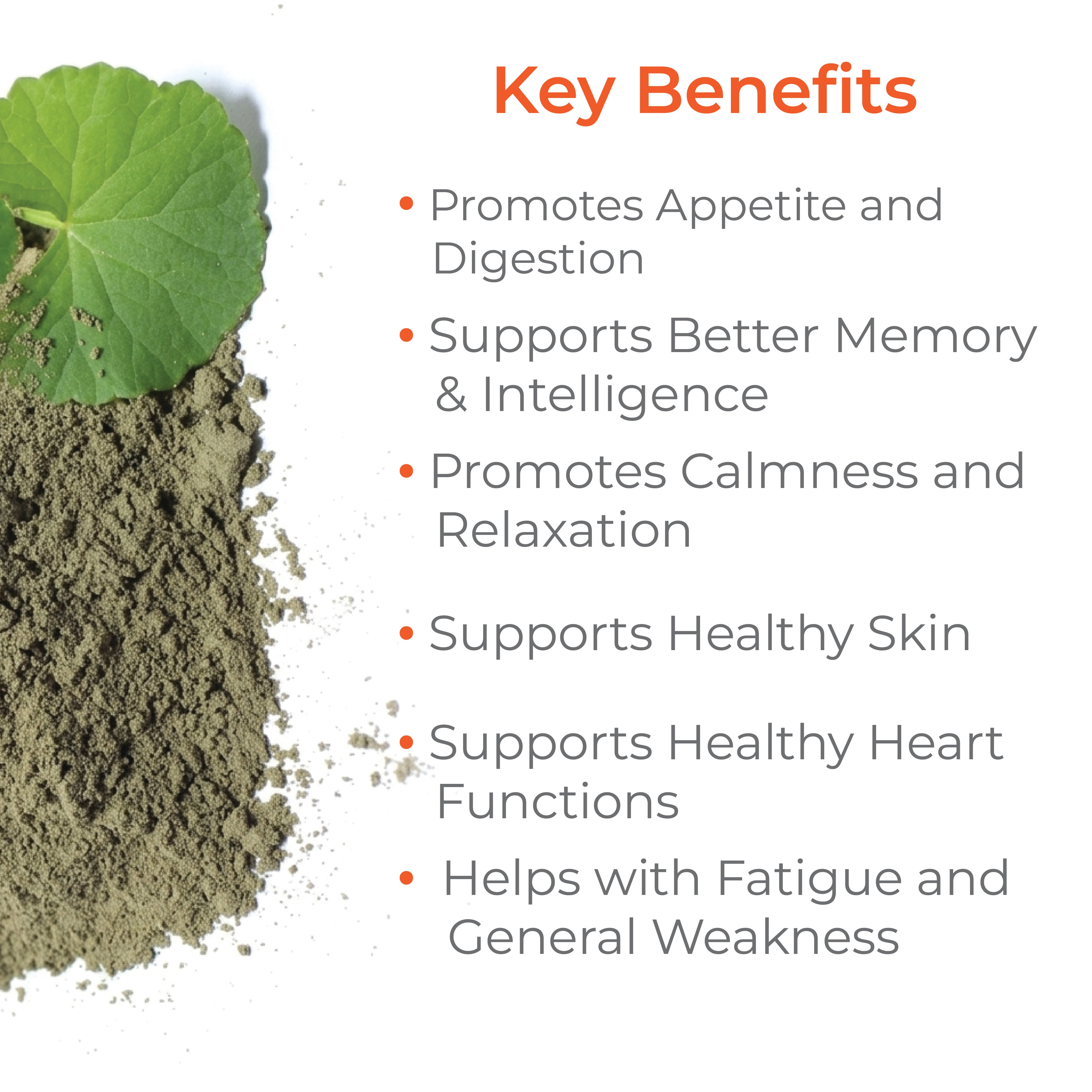 Gotu Kola Herbal Powder