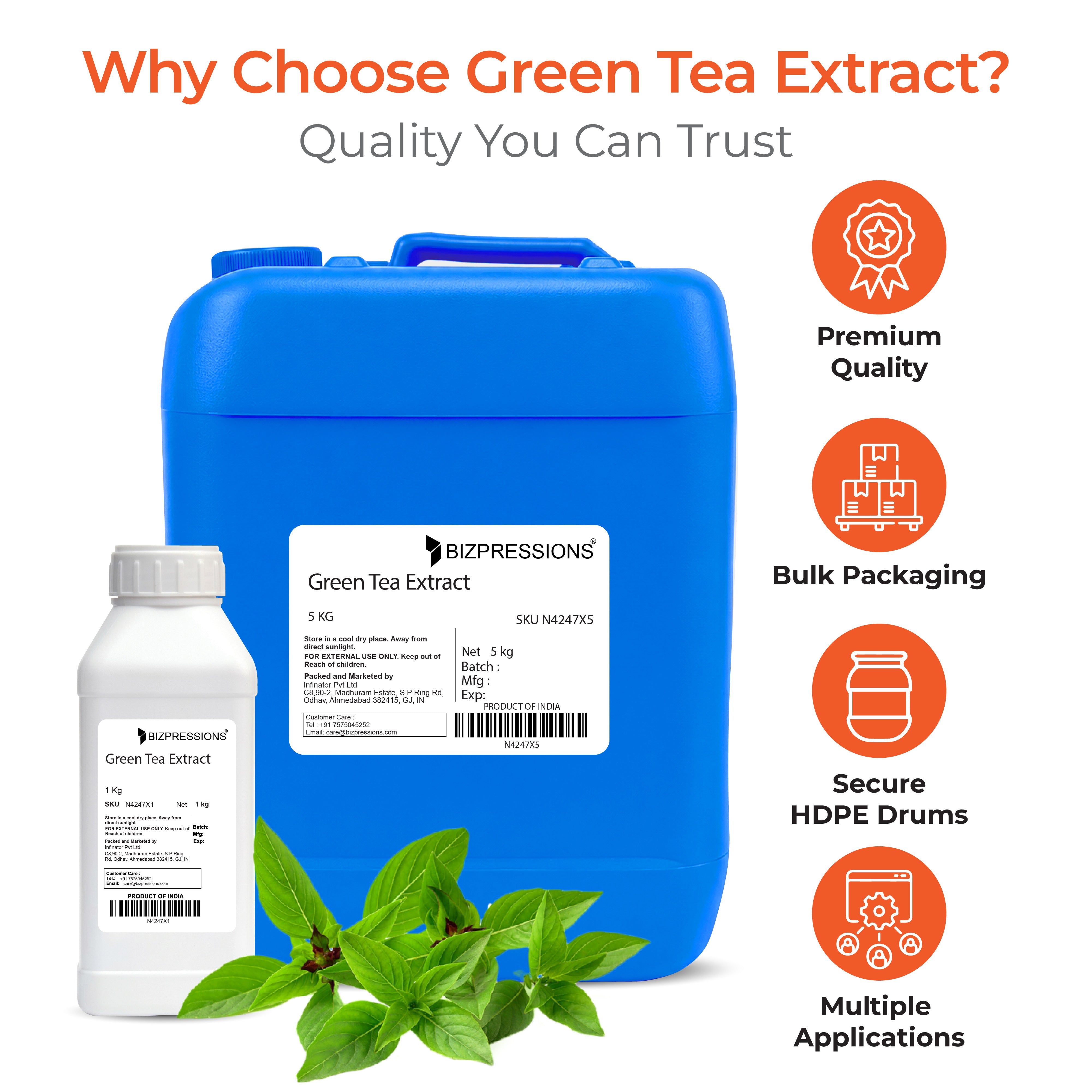 Green Tea Extract