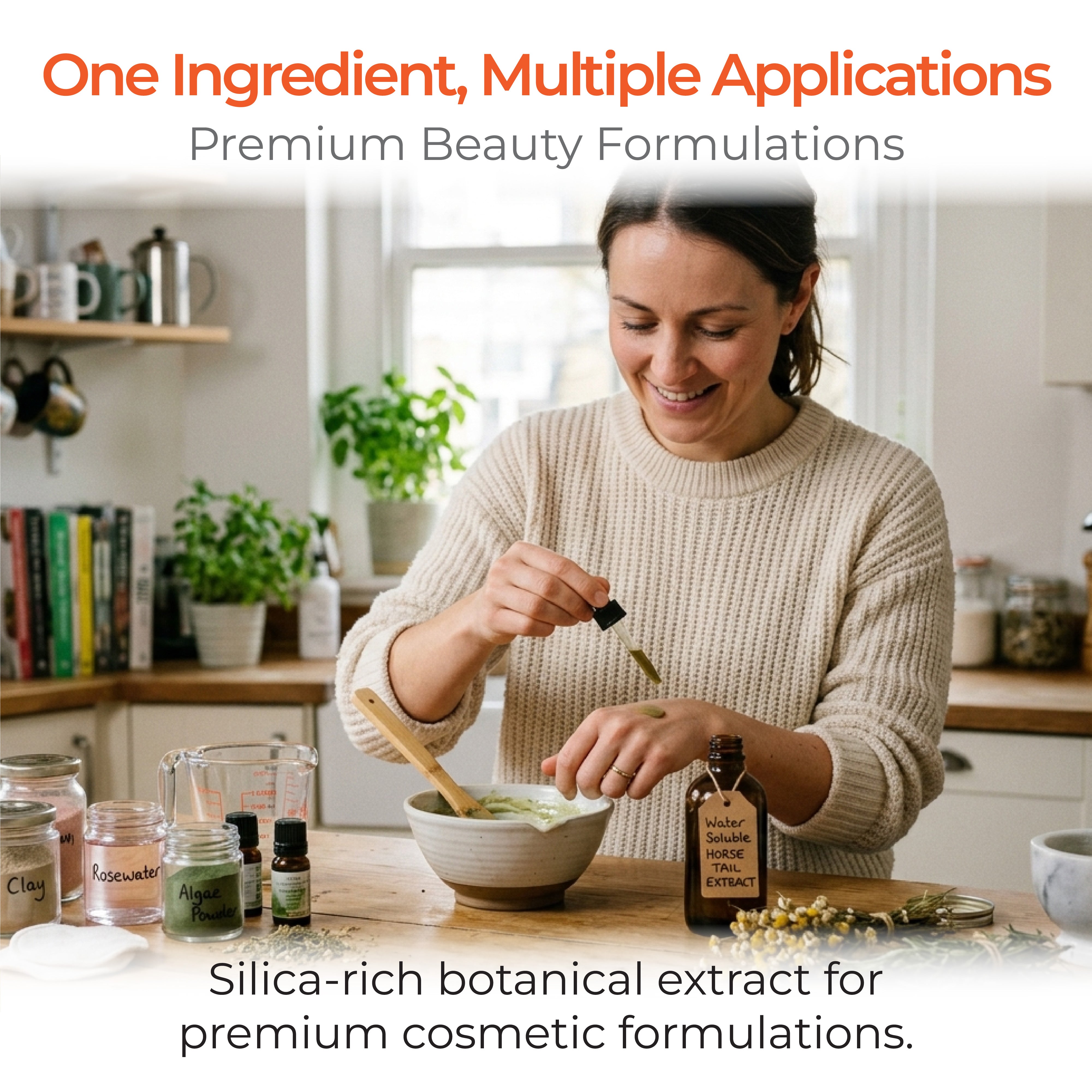 Horse Tail Extract