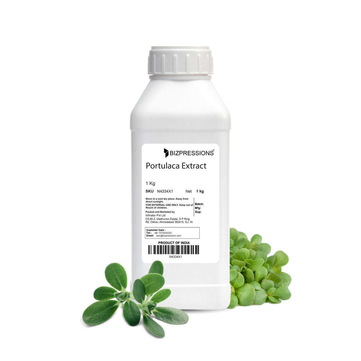 Portulaca Extract