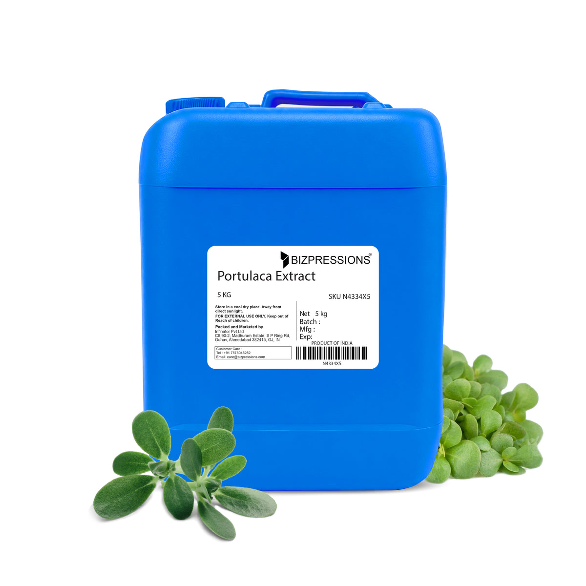 Portulaca Extract