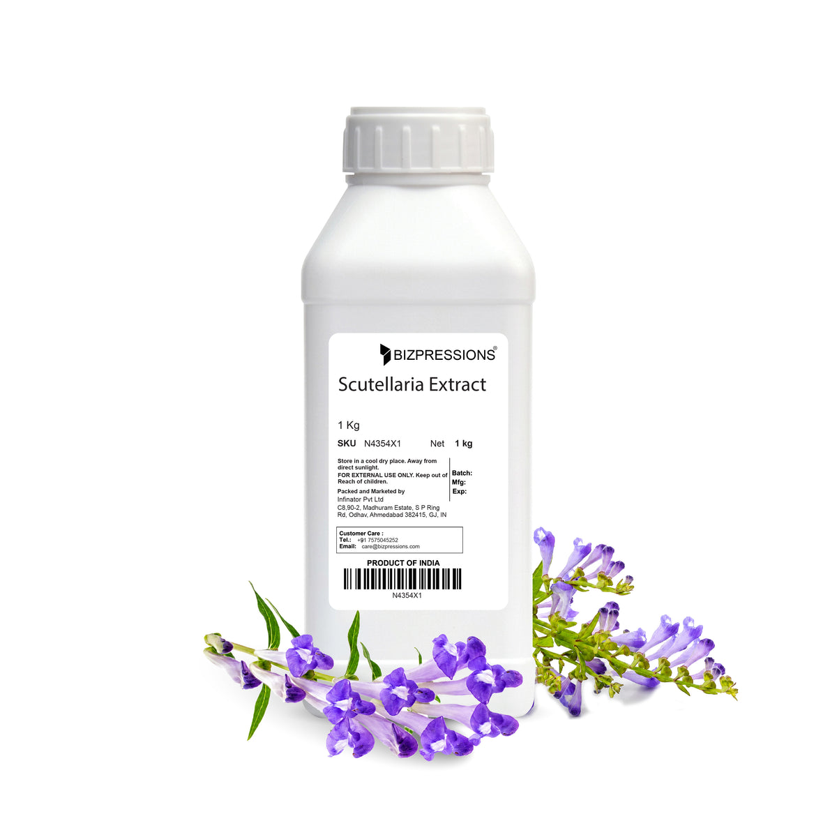 Scutellaria Extract