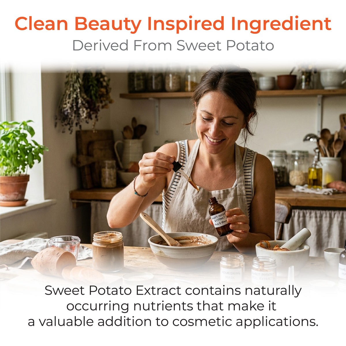 Sweet Potato Extract