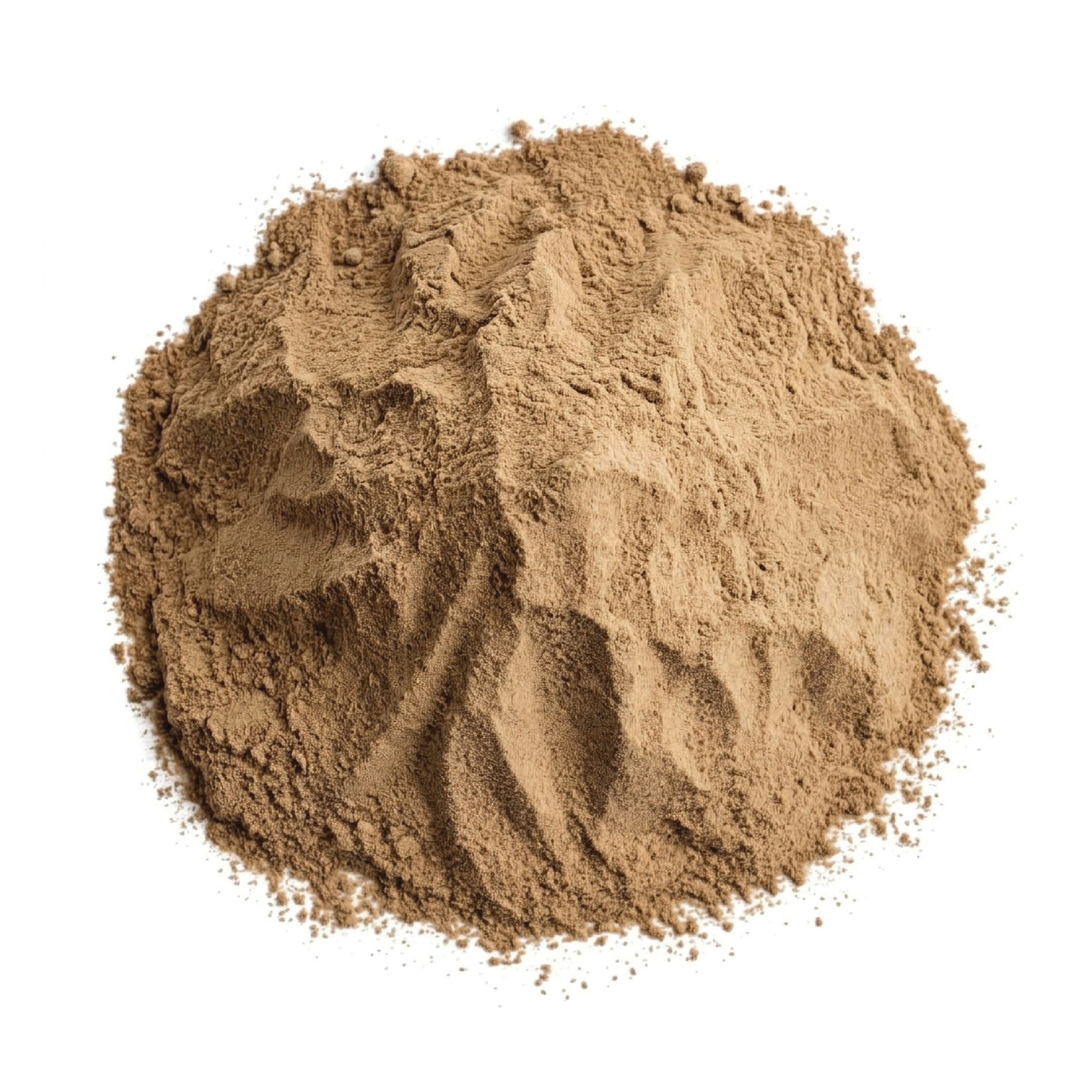 Tamarind Powder (Spray Dried)
