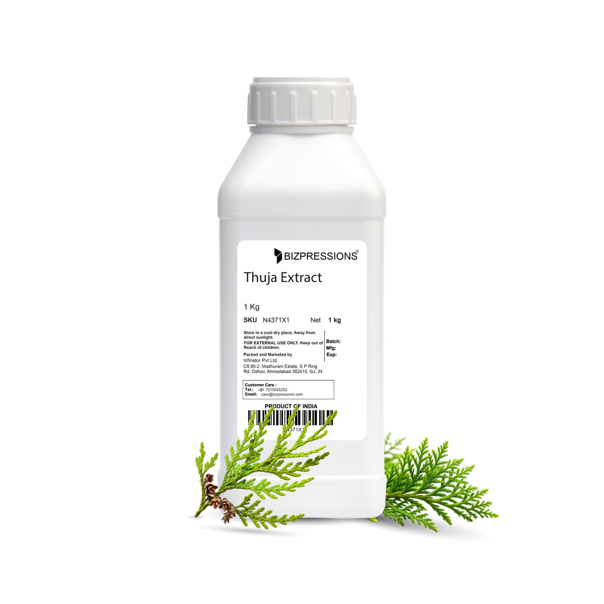 Thuja Extract
