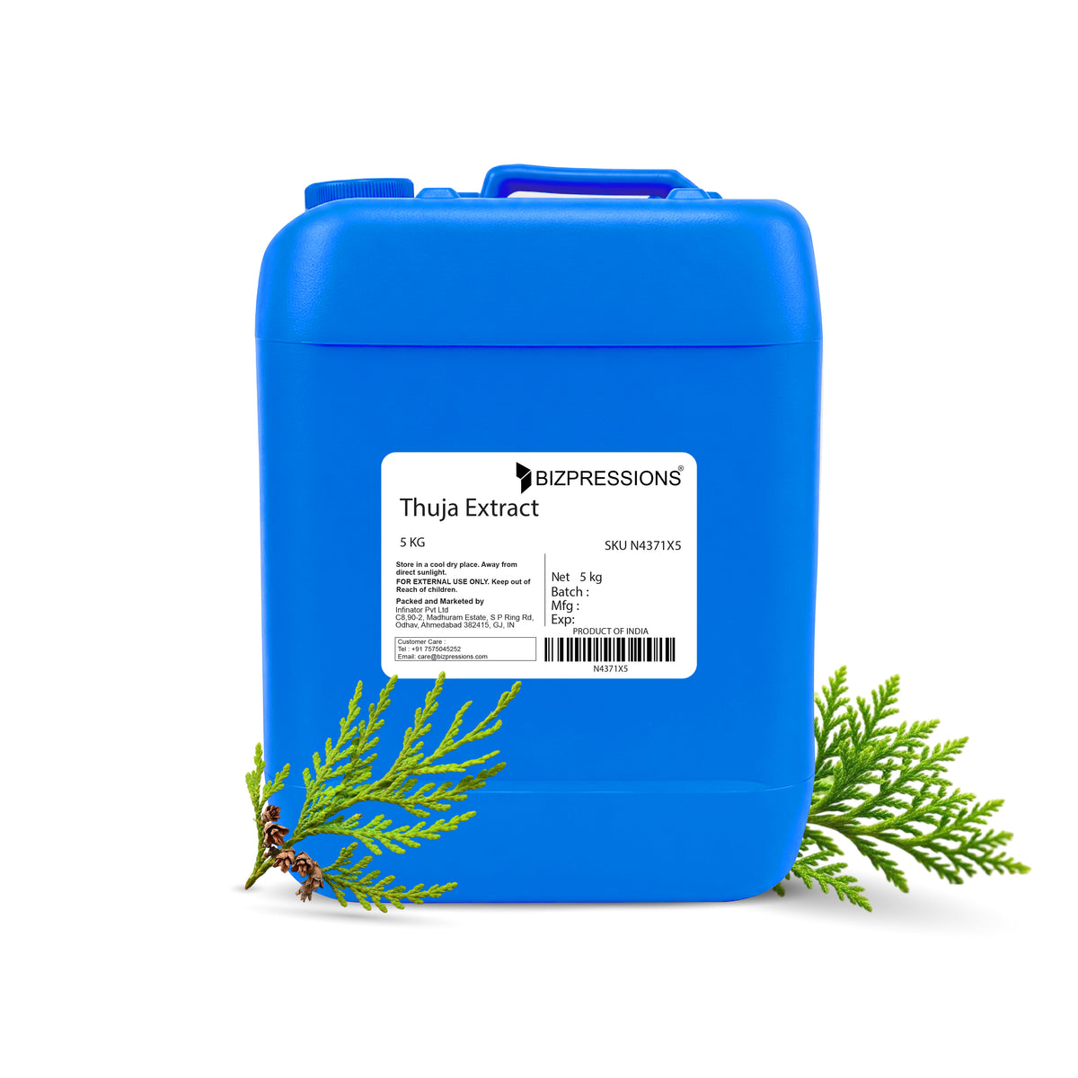 Thuja Extract