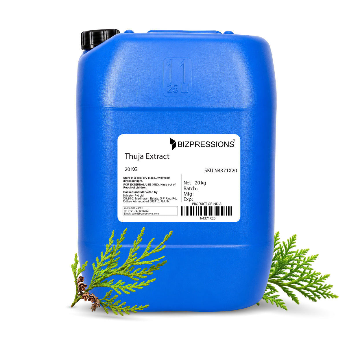 Thuja Extract