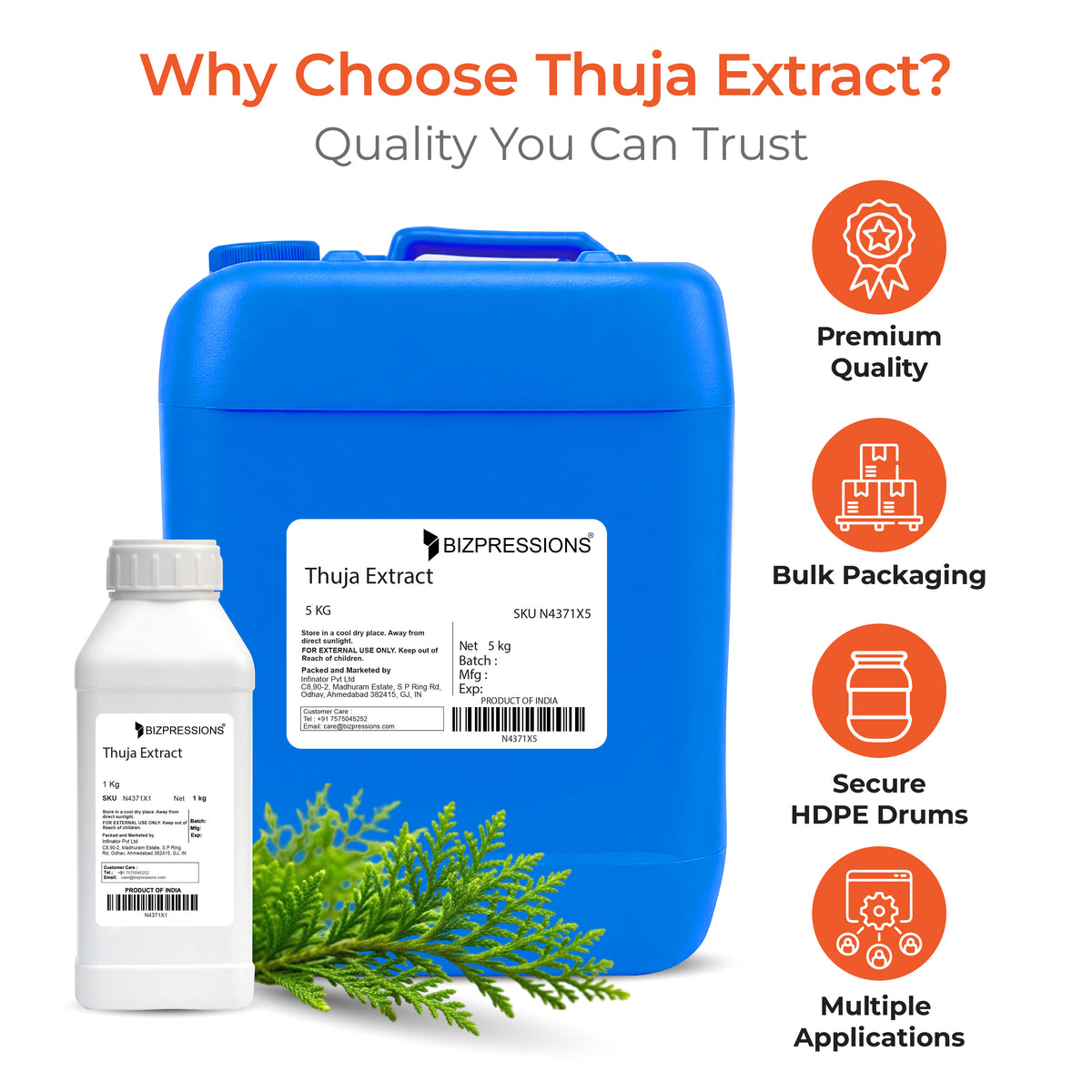Thuja Extract