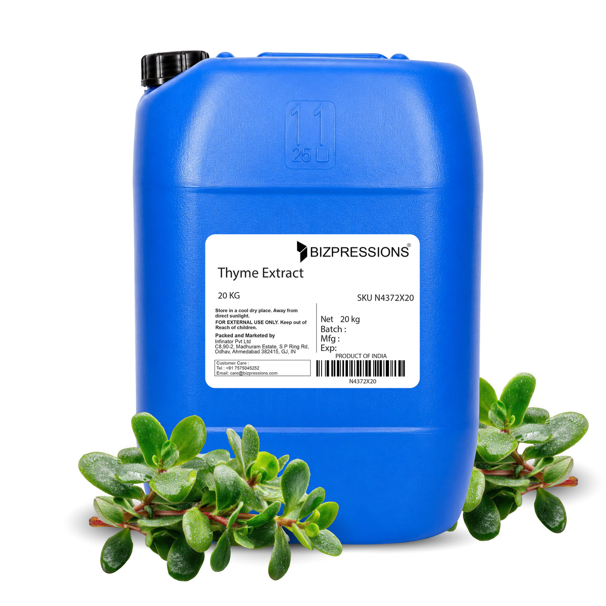 Thyme Extract