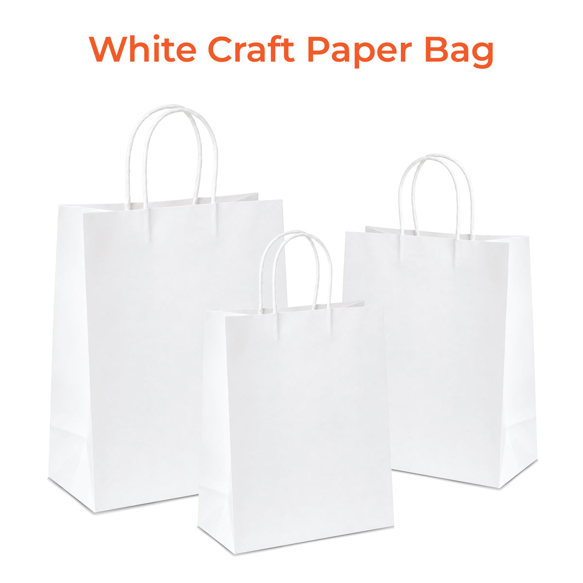 White Craft Paper Bag