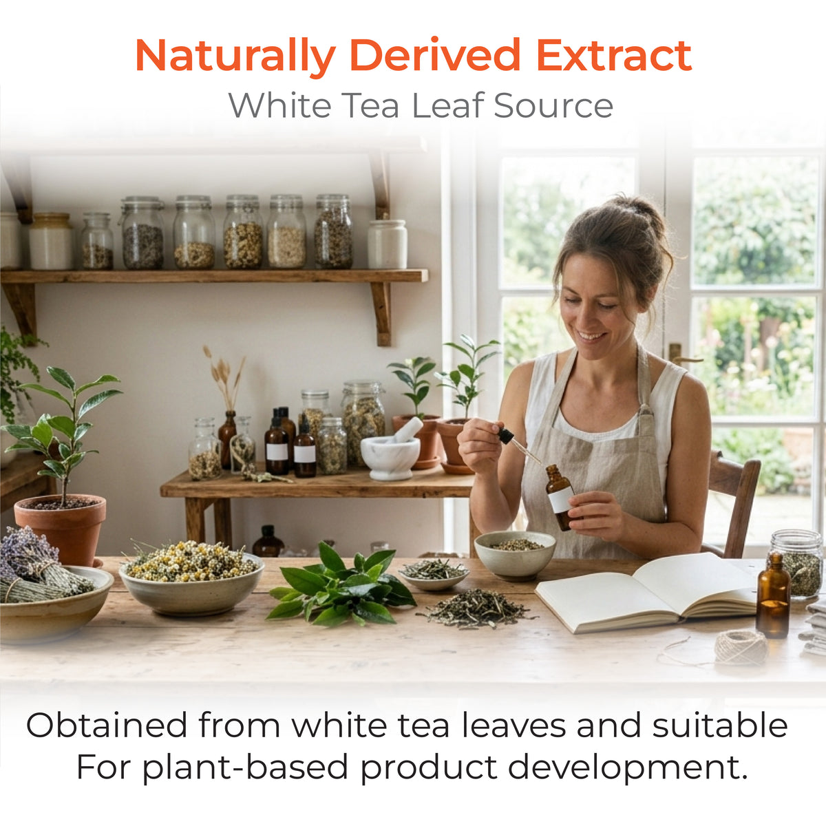White Tea Extract