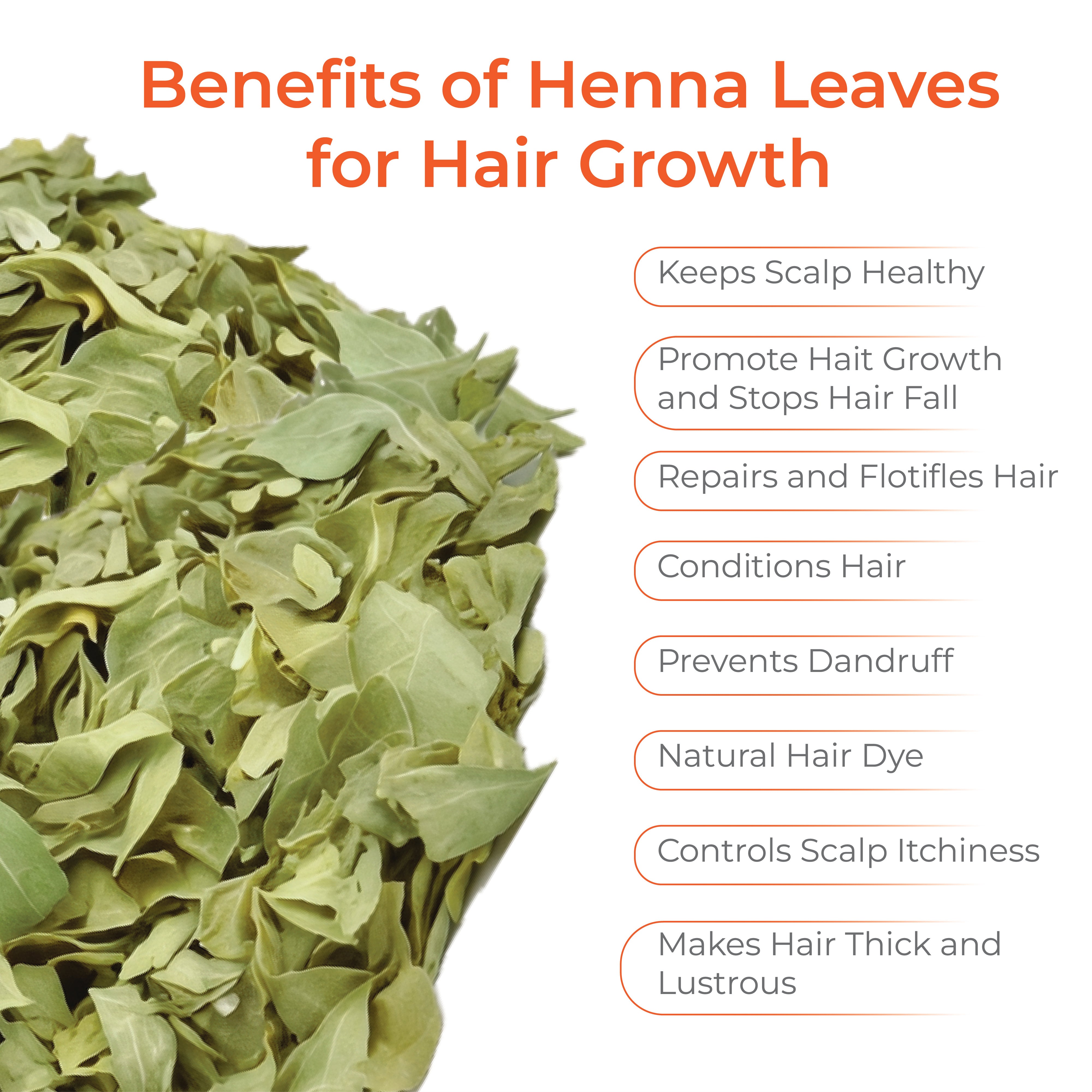 Whole Henna Leaves for Hair and Herbal Use