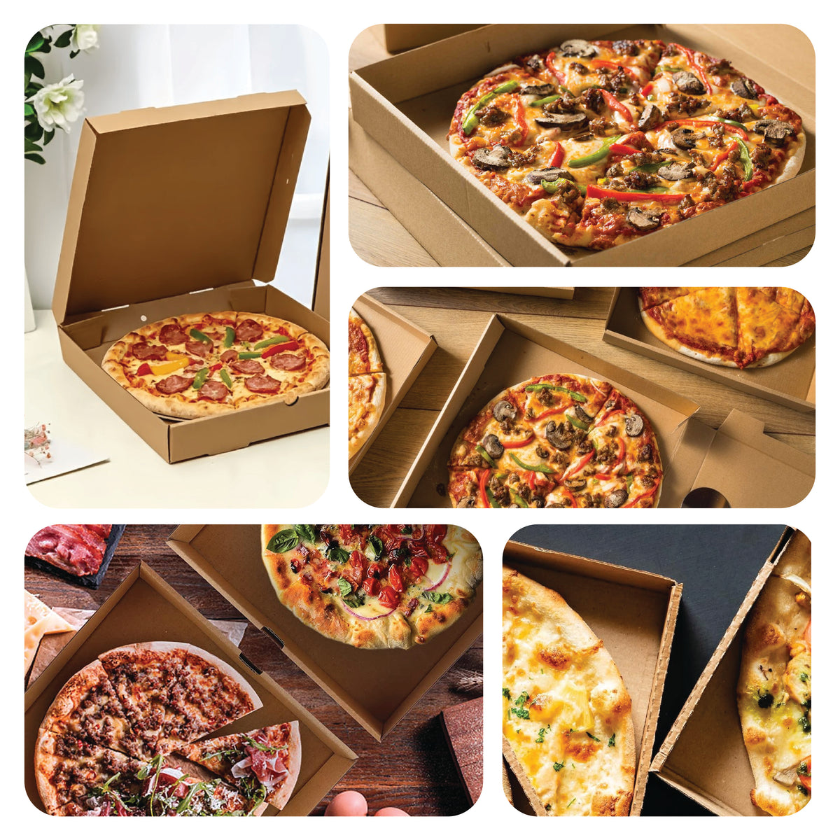 Z32 Auto Fold Corrugated Pizza Box (310 x 310 x 50mm)