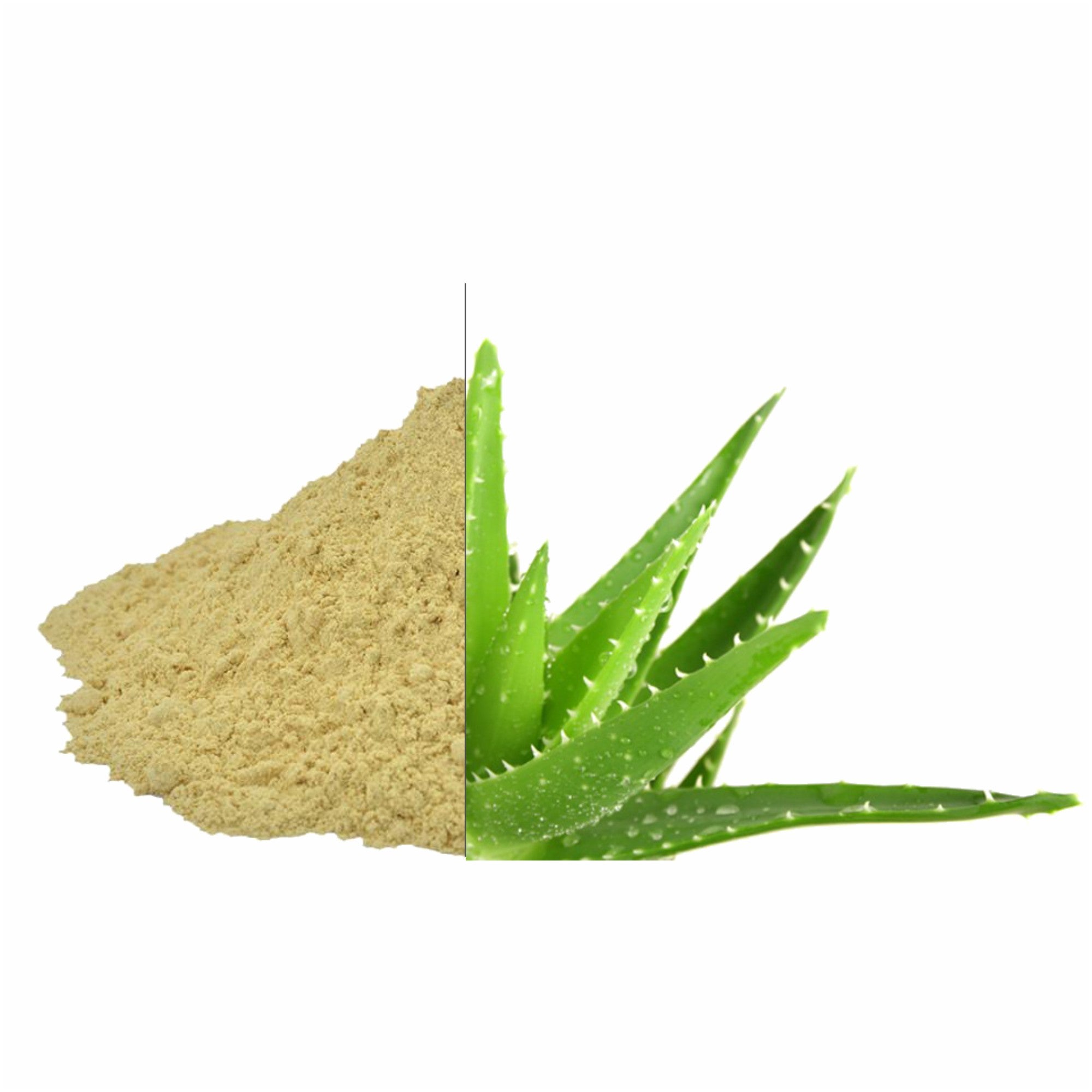 aloe vera powder for plants Aloe Vera Powder