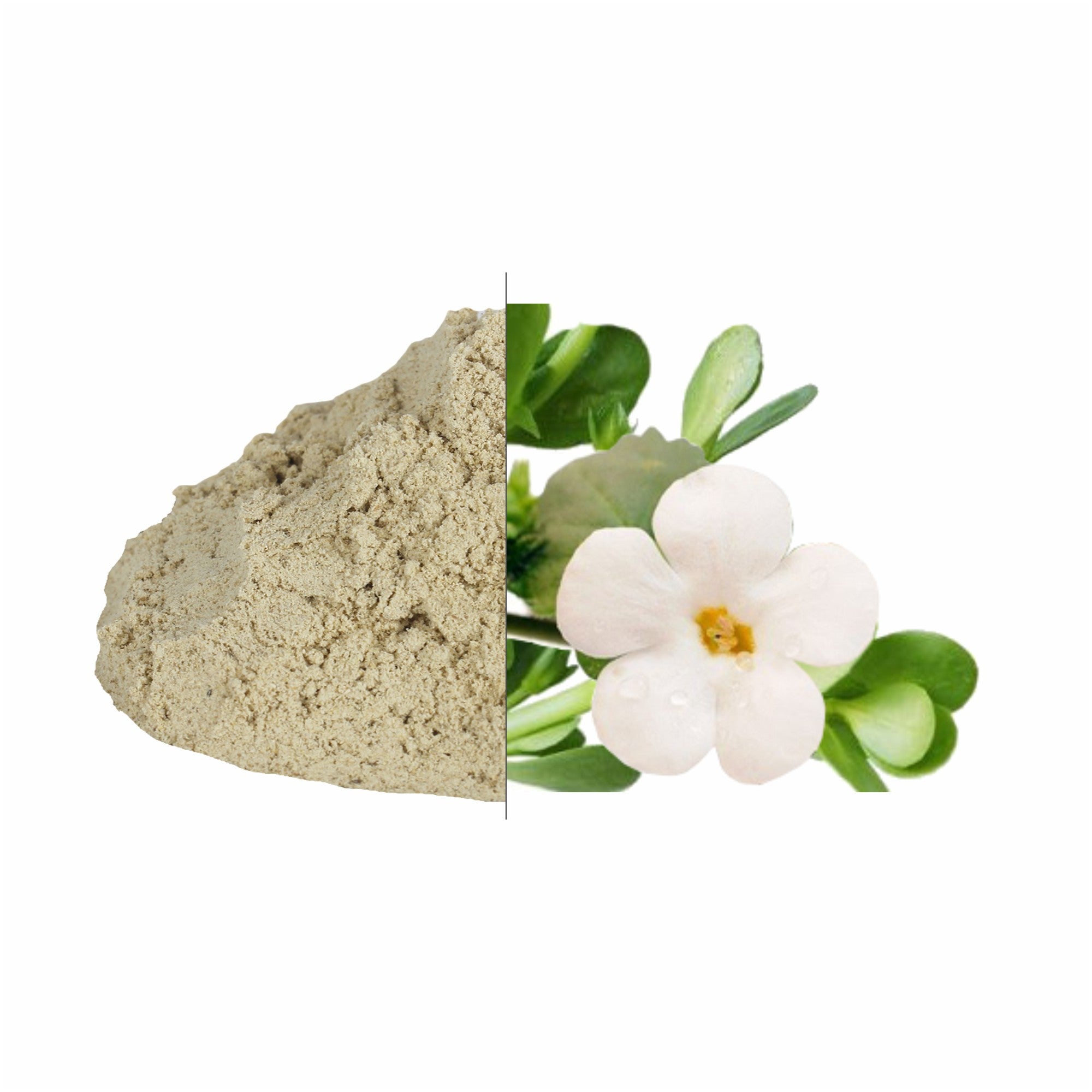 Brahmi Leaves Powder