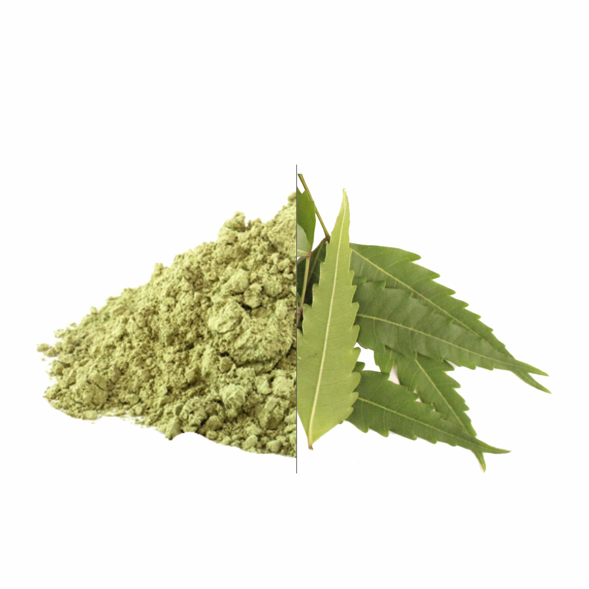 Neem Leaves Powder