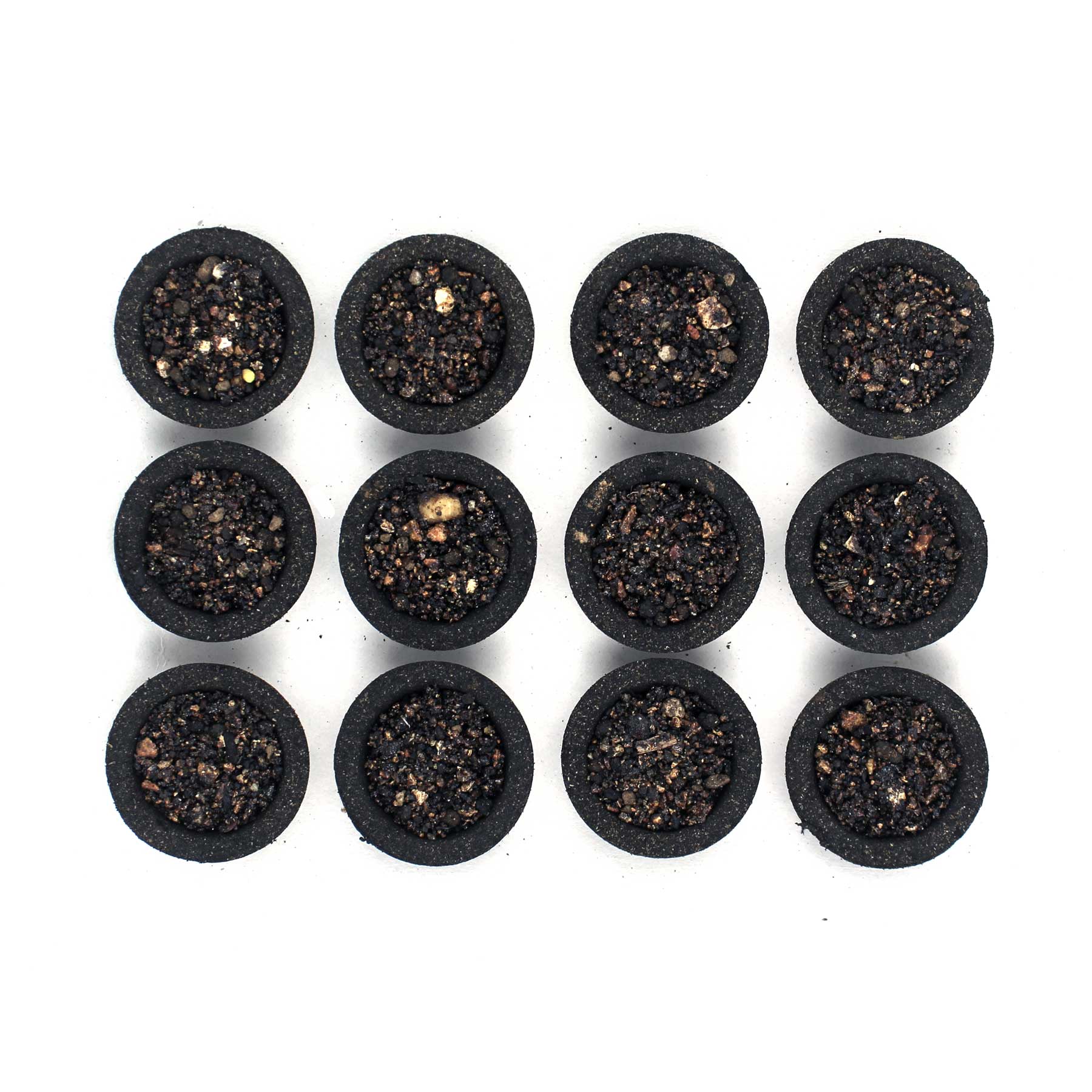 Sambrani Cup - Dhoop Cup