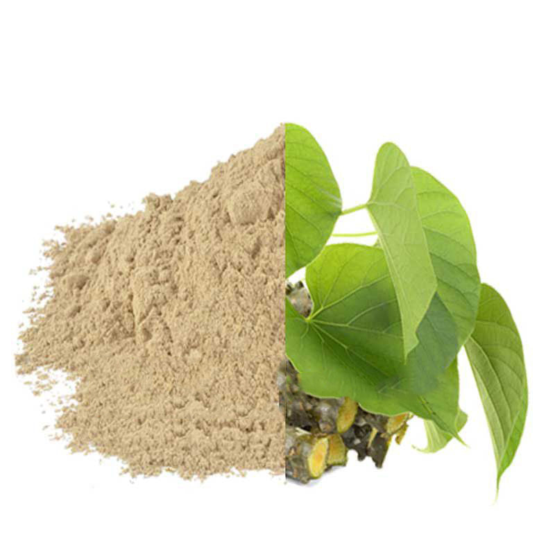 Giloy Powder