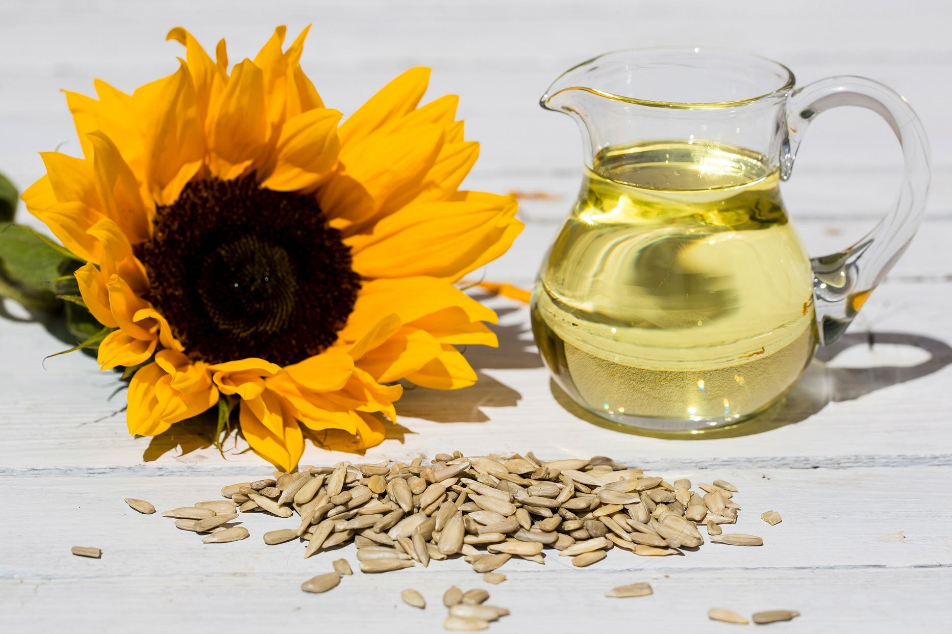 Sunflower Seed Oil