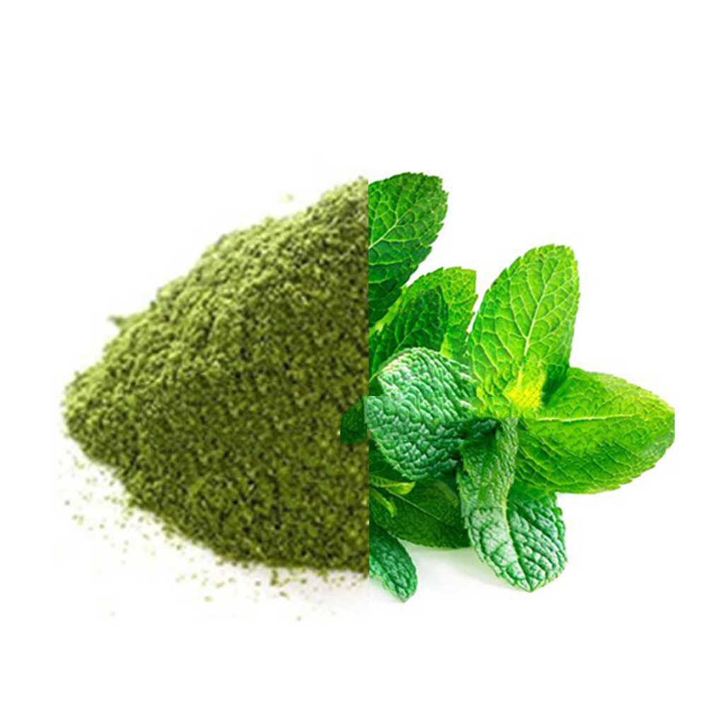 Mint Leaves Powder