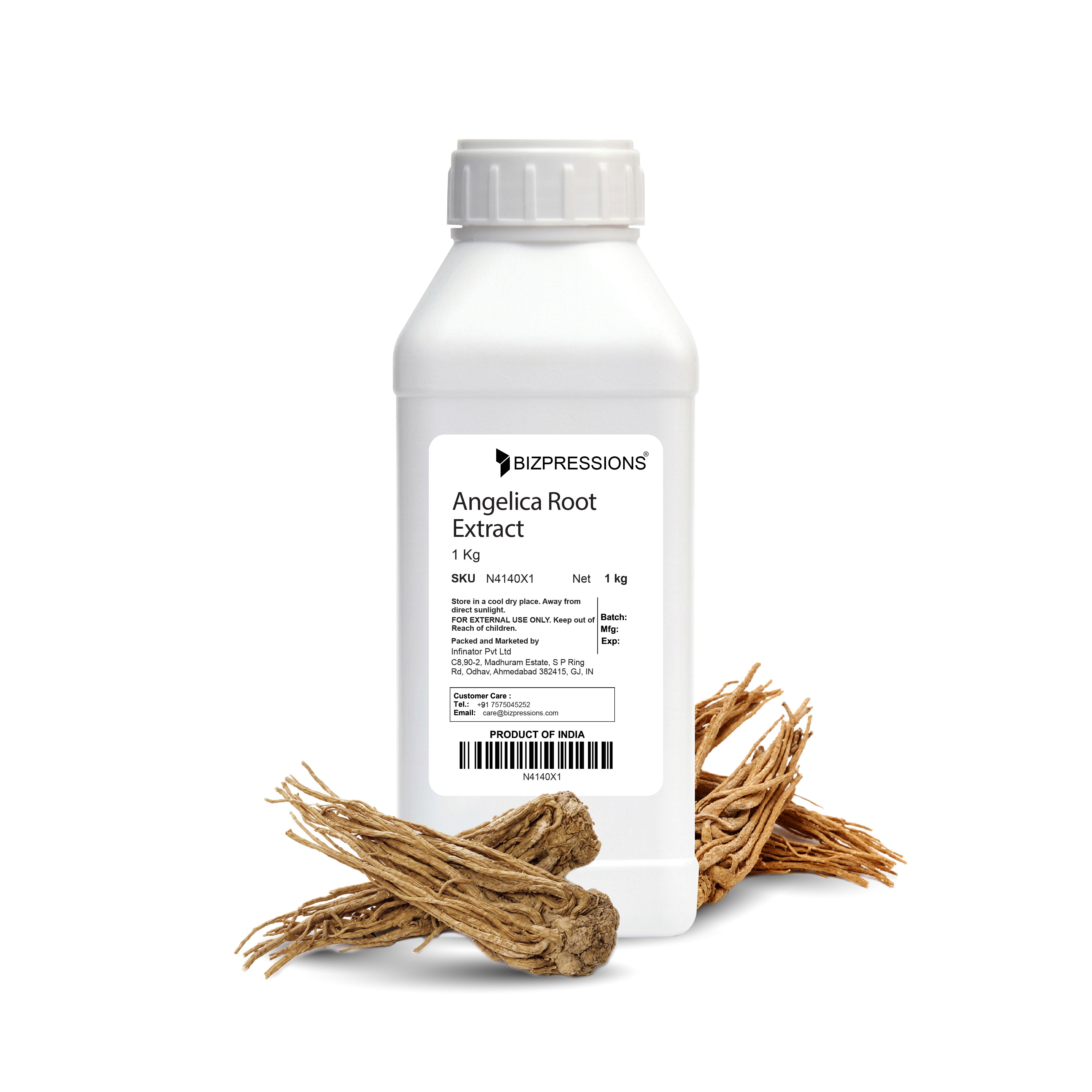 Angelica Root Extract