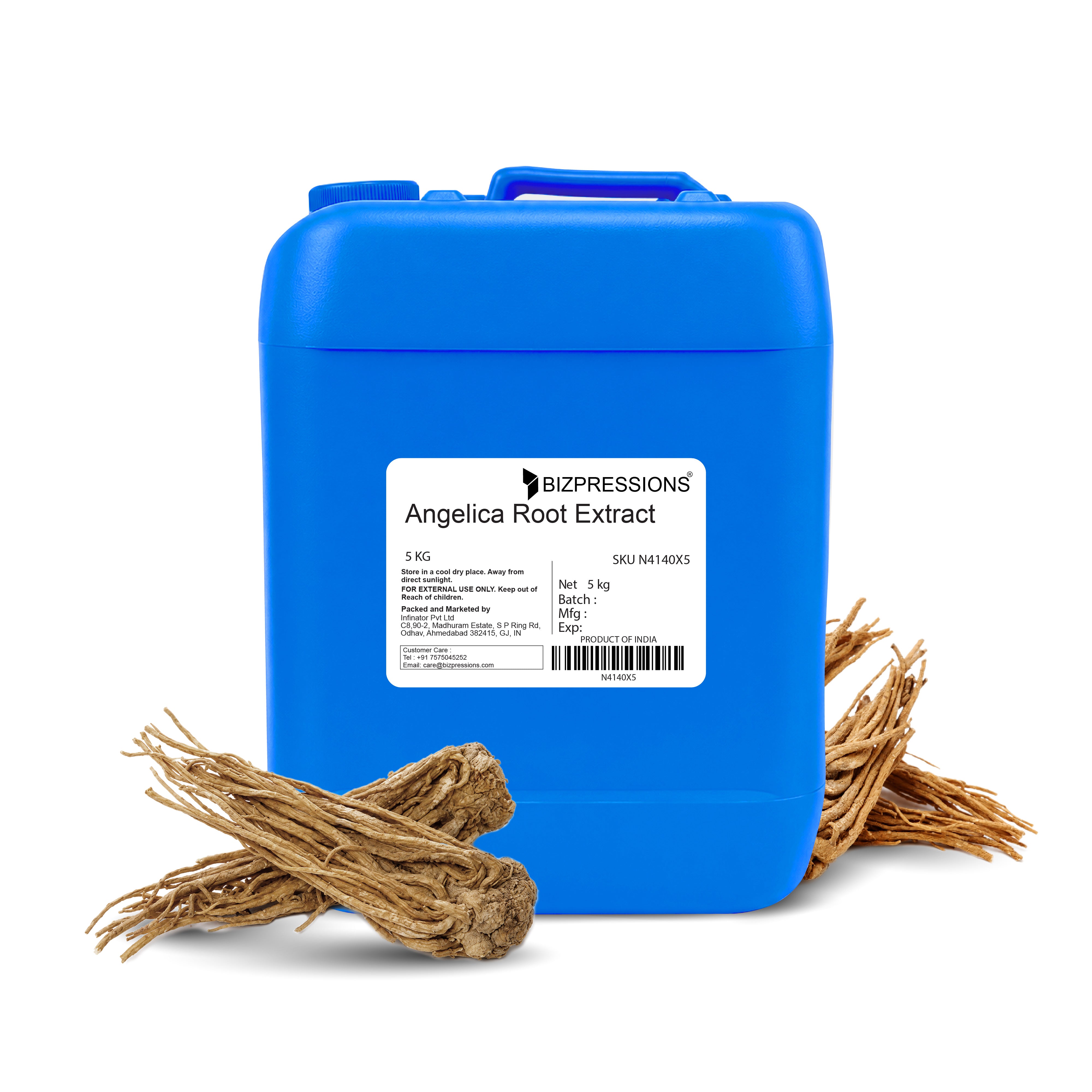 Angelica Root Extract