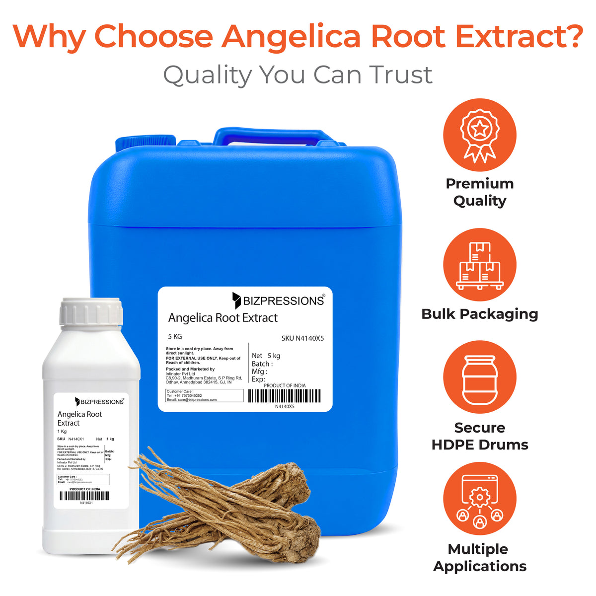 Angelica Root Extract