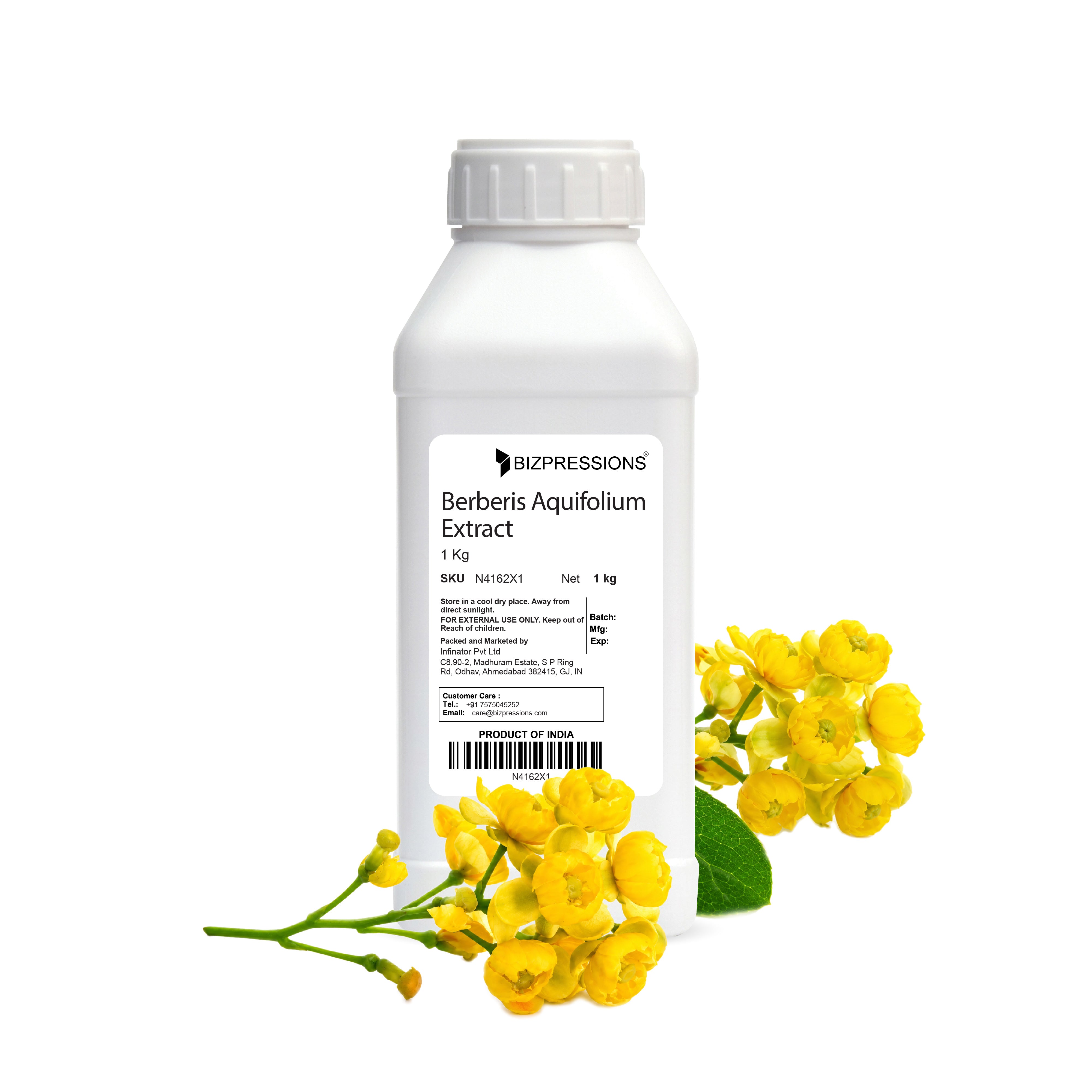 Berberis Aquifolium Extract