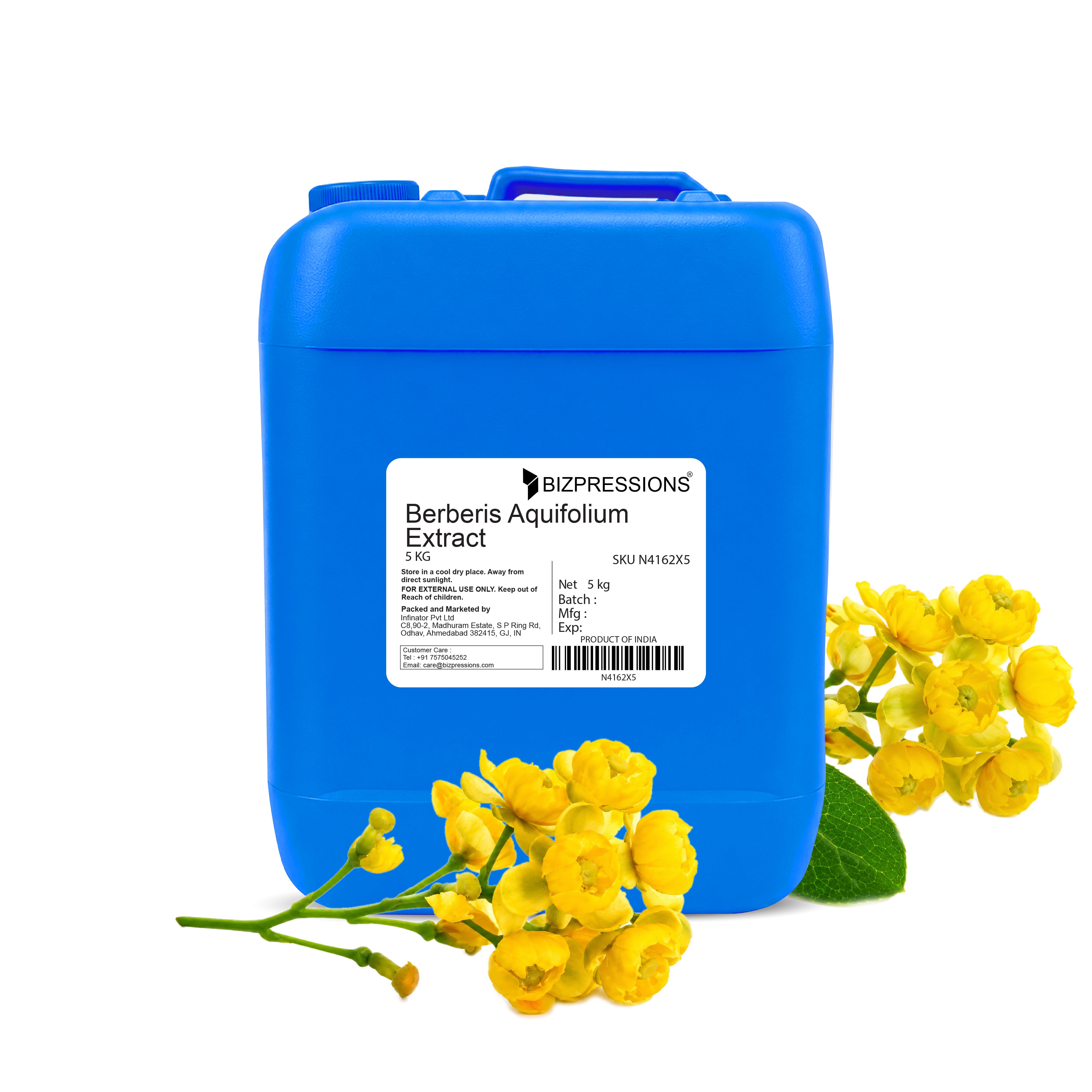 Berberis Aquifolium Extract