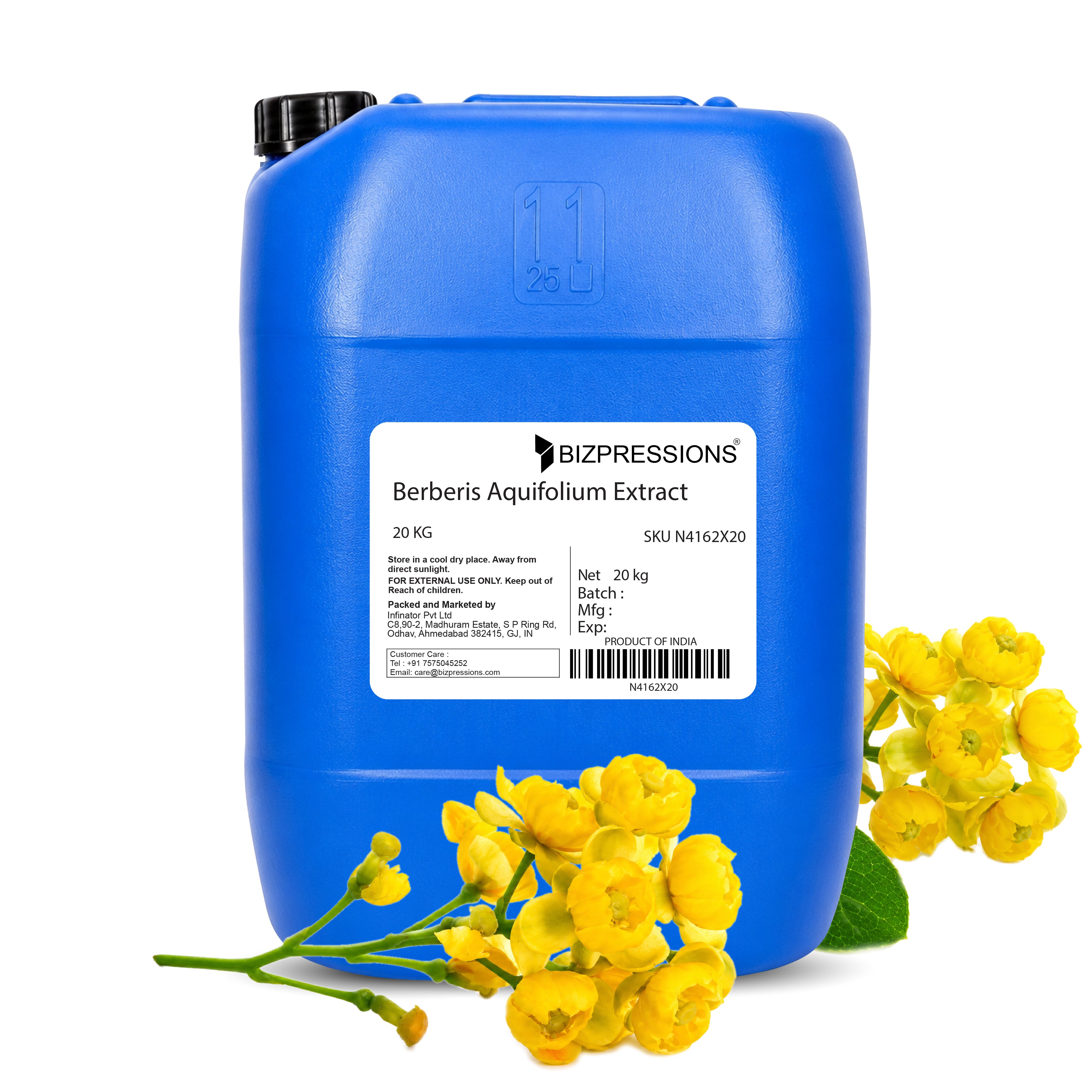 Berberis Aquifolium Extract