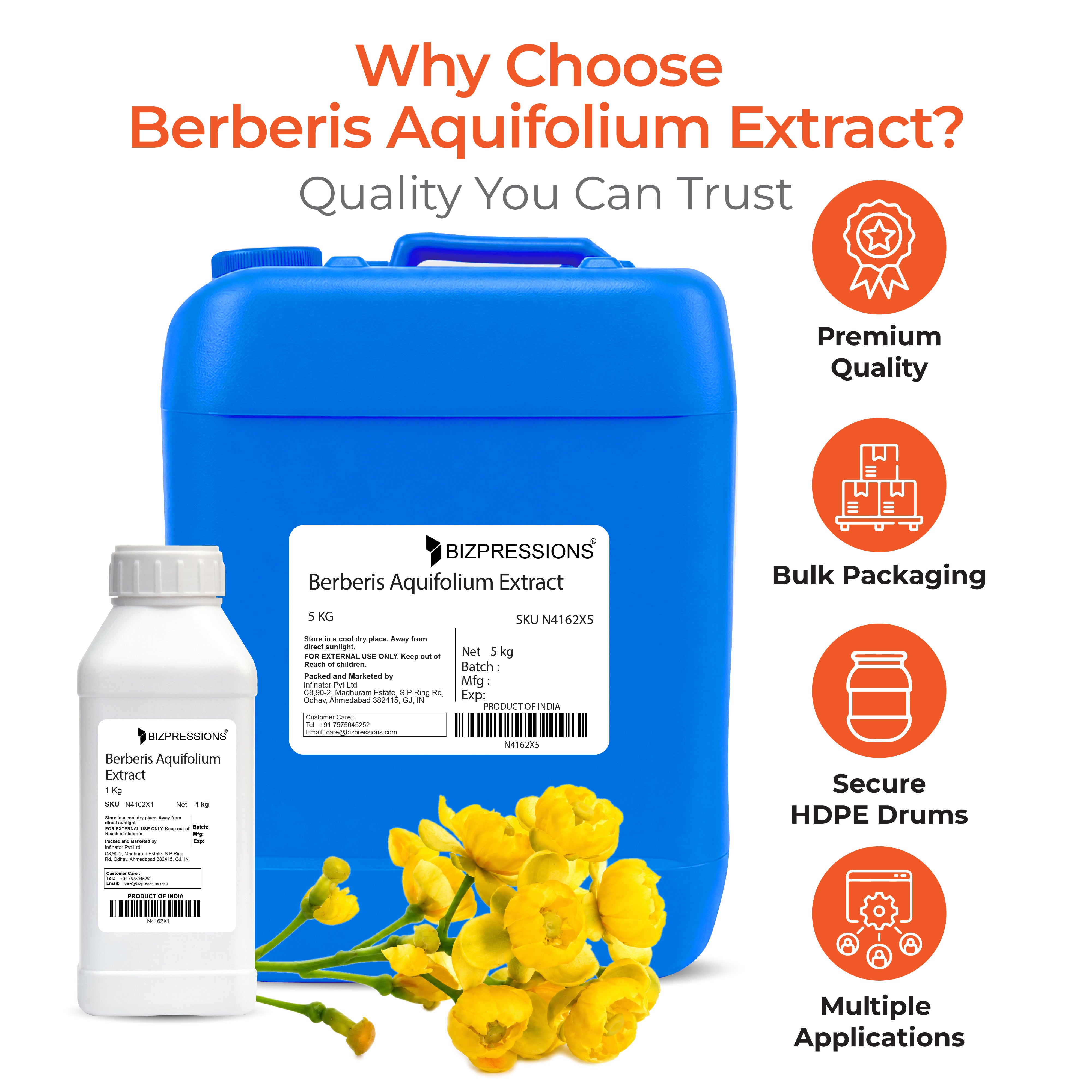 Berberis Aquifolium Extract