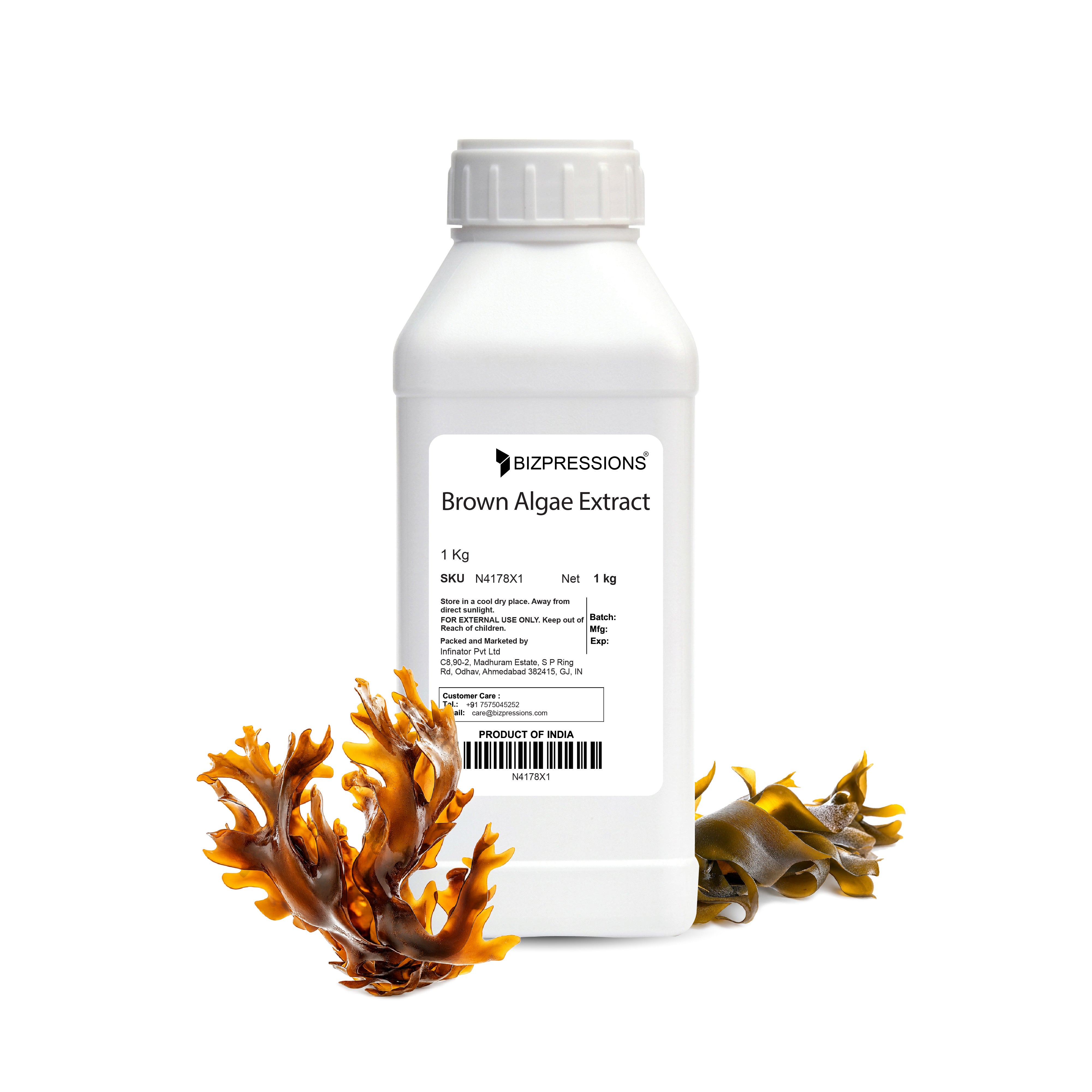 Brown Algae Extract