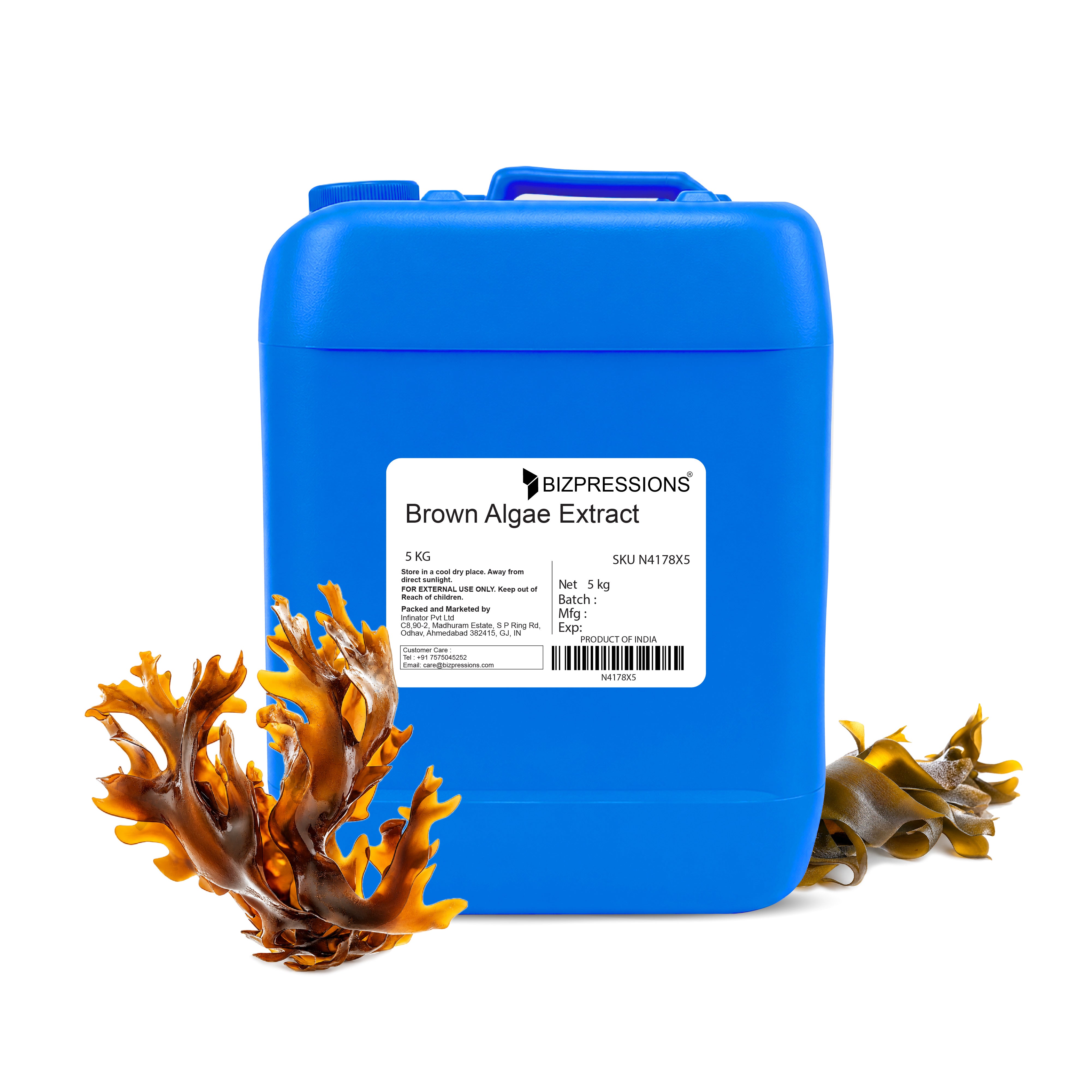 Brown Algae Extract