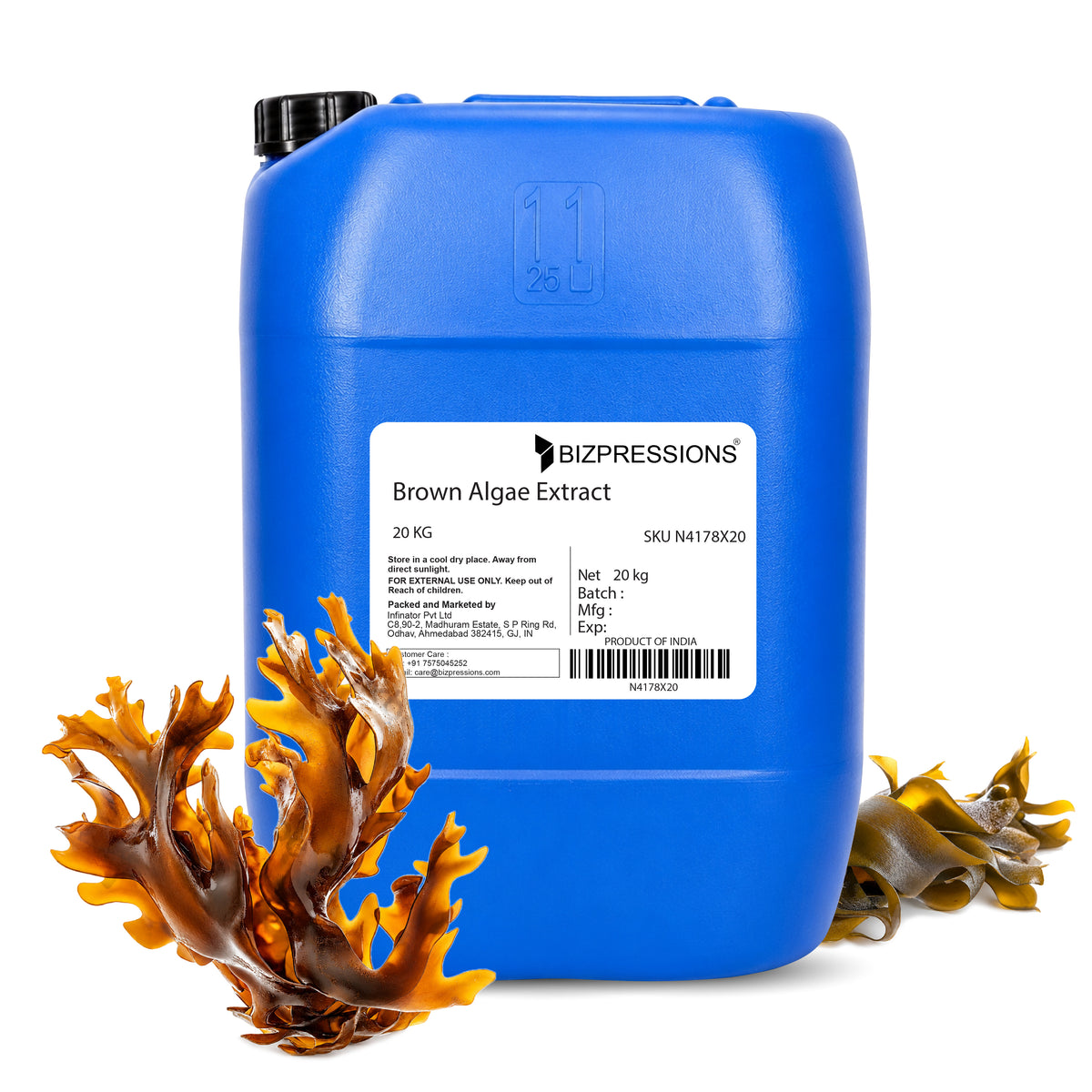 Brown Algae Extract