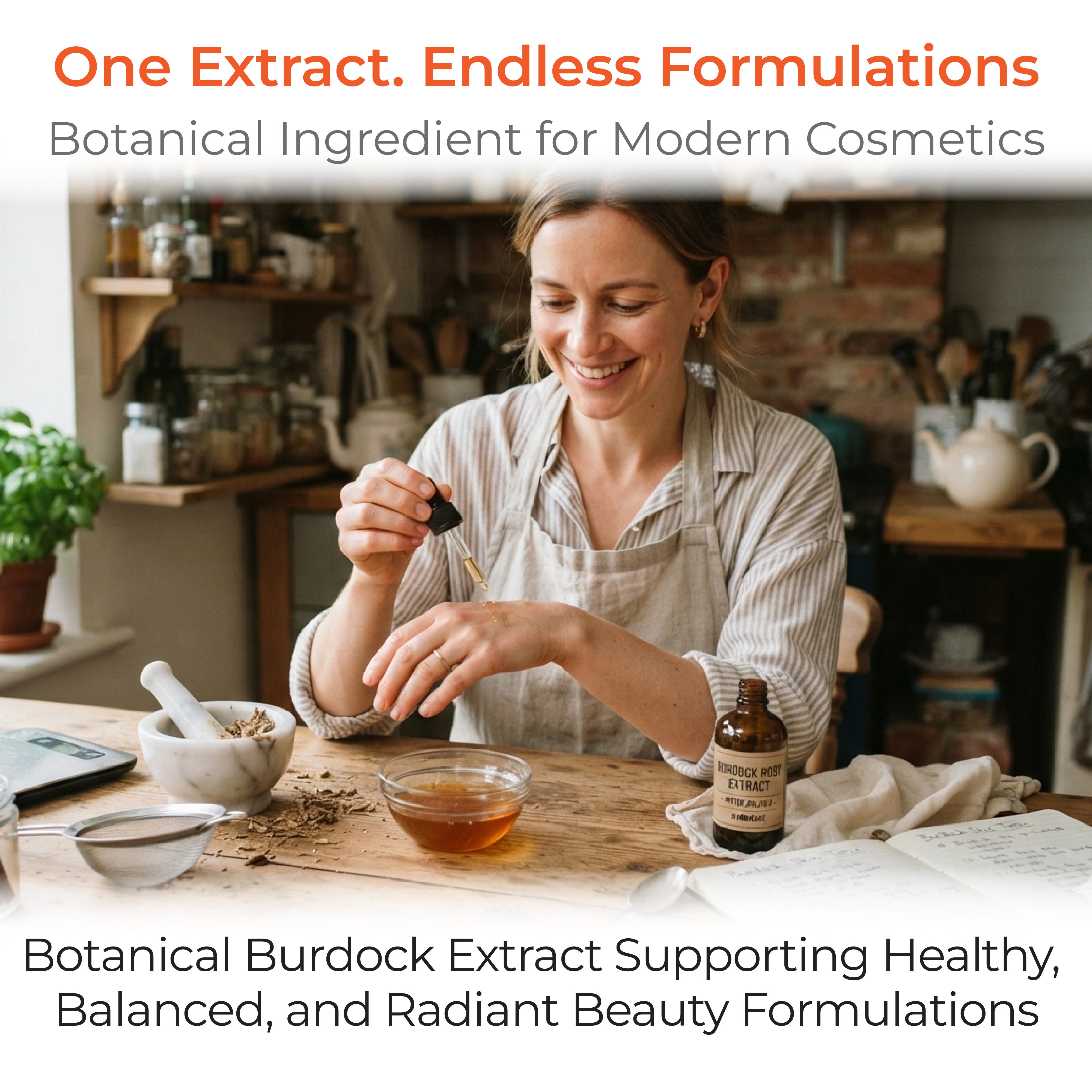 Burdock Extract