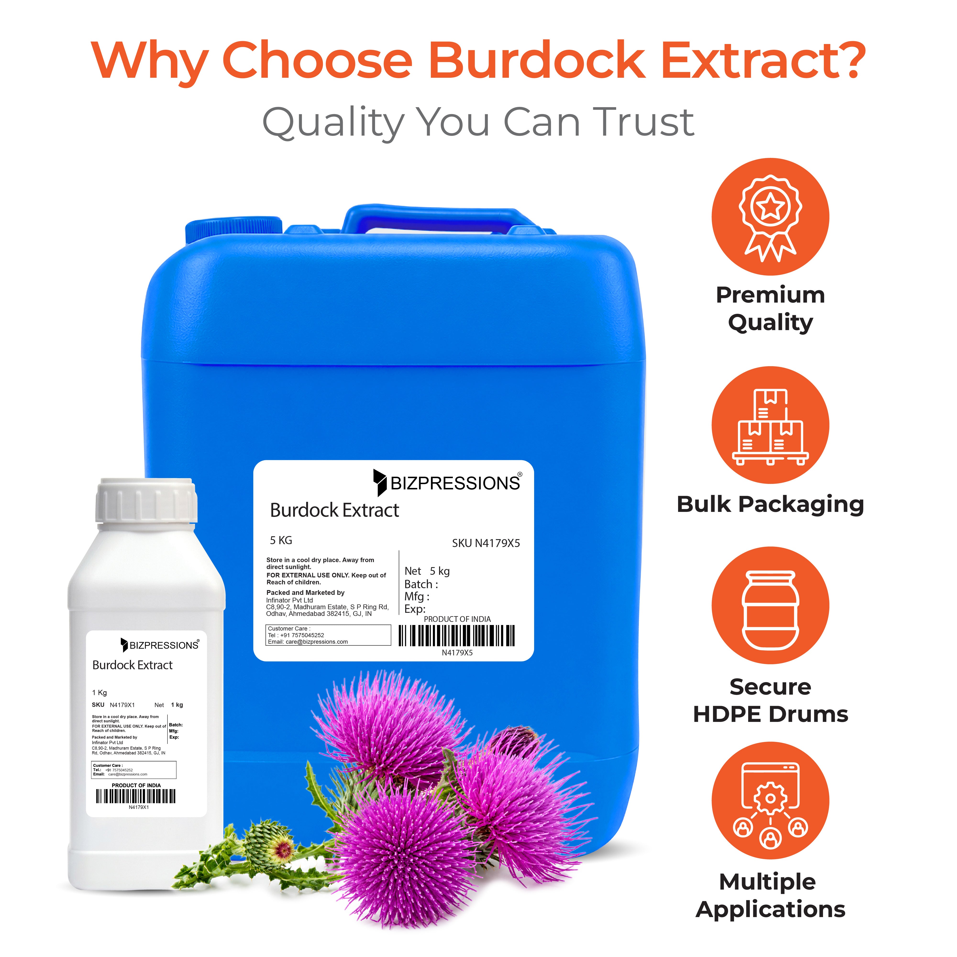 Burdock Extract