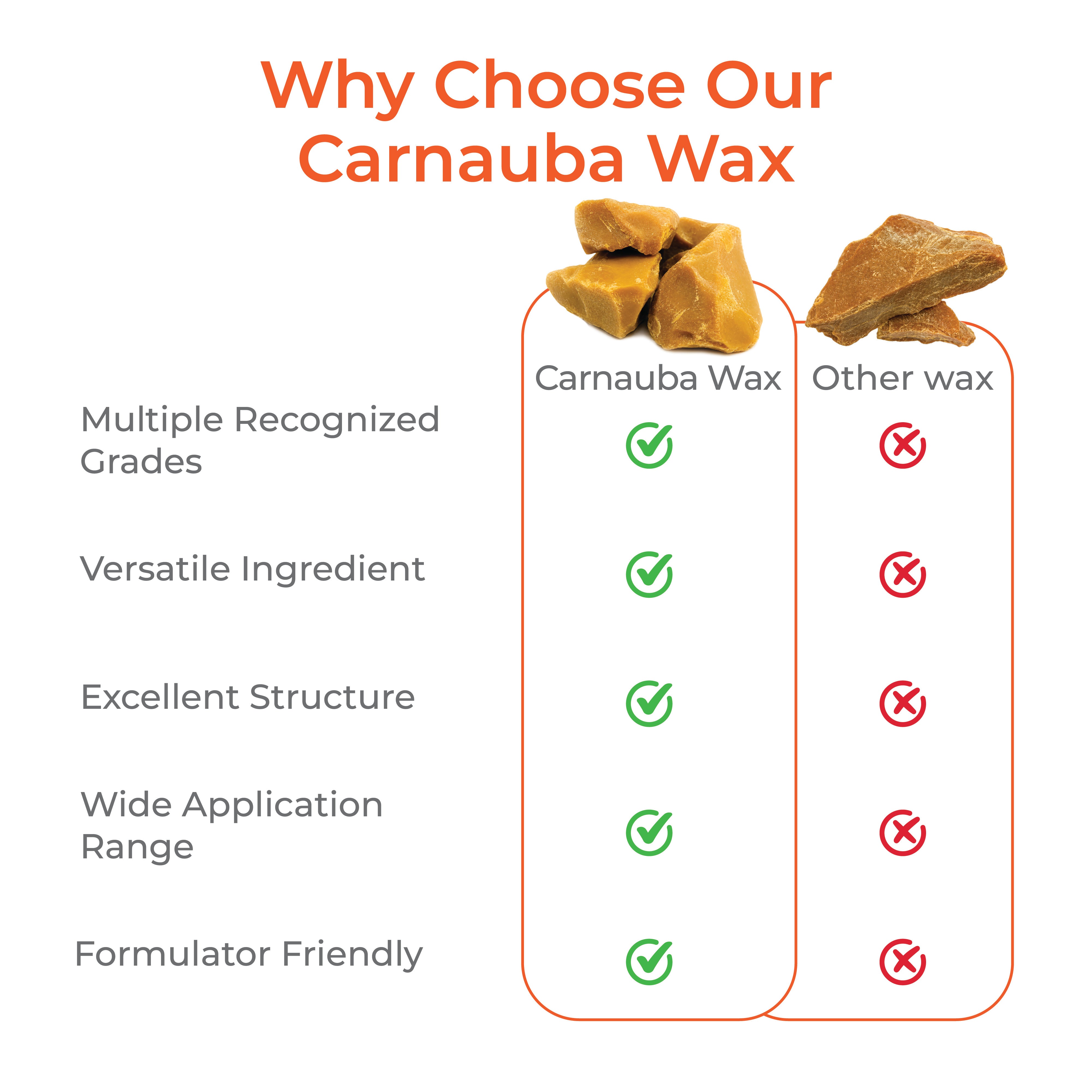 Carnauba Wax