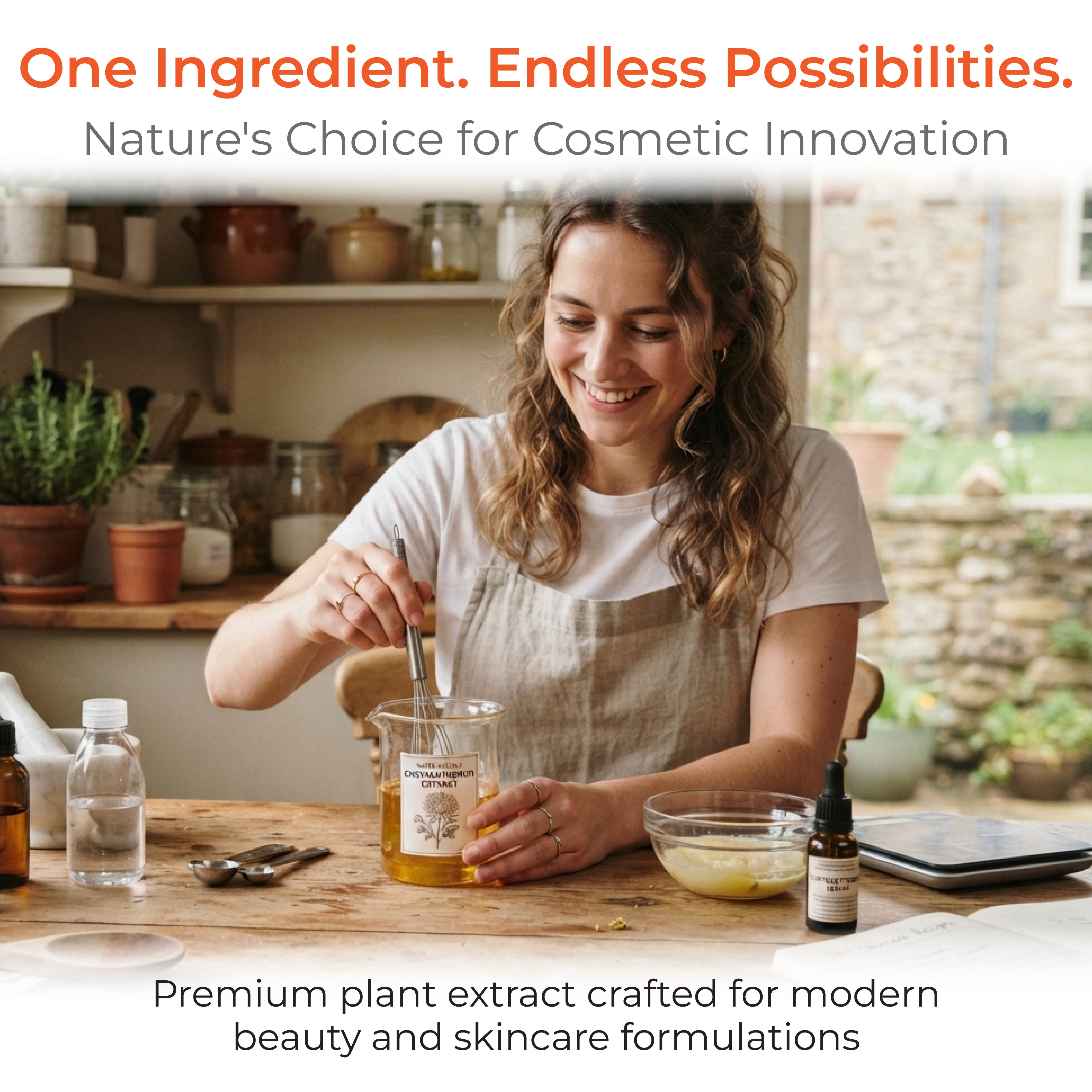Chrysanthemum Extract