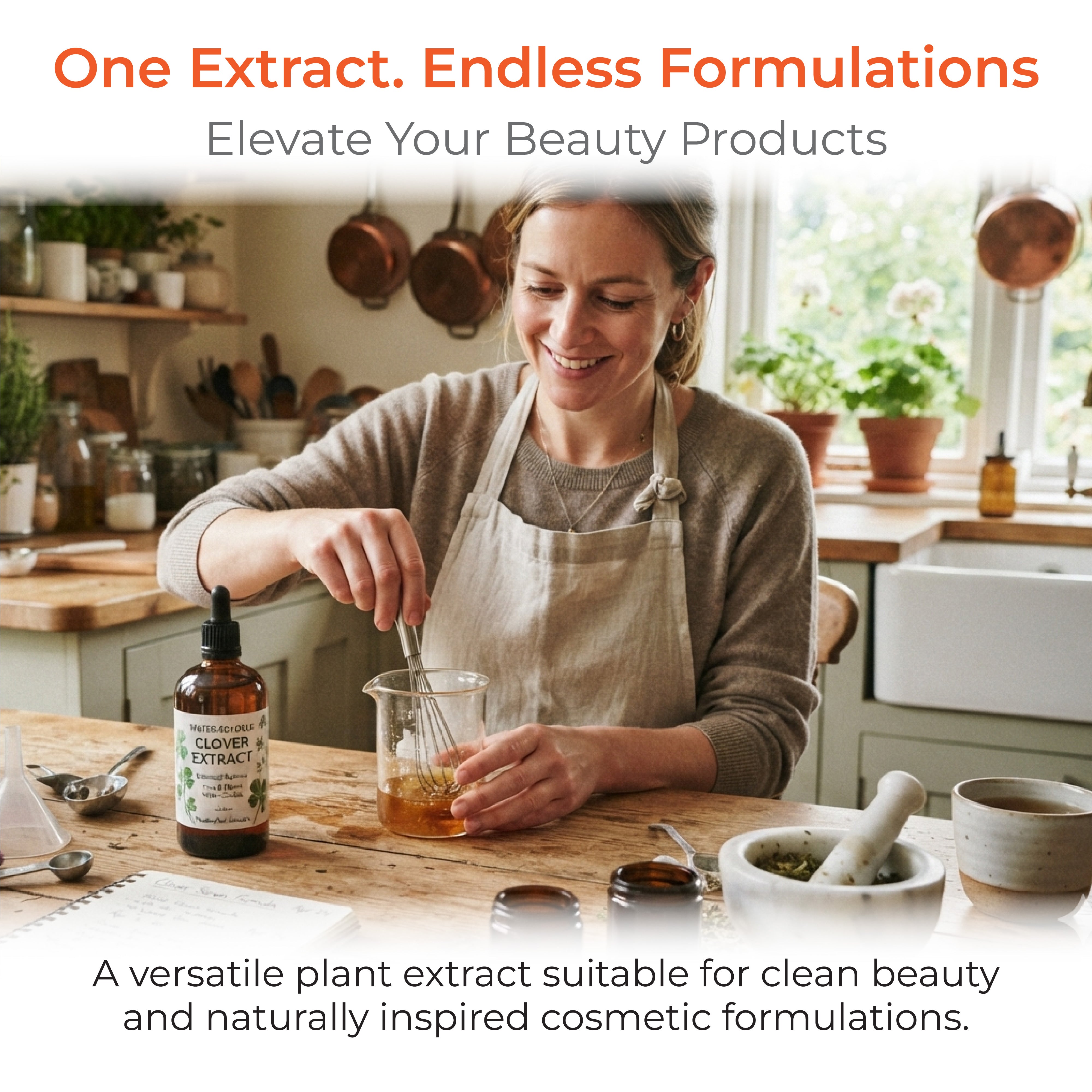 Cinnamon Extract