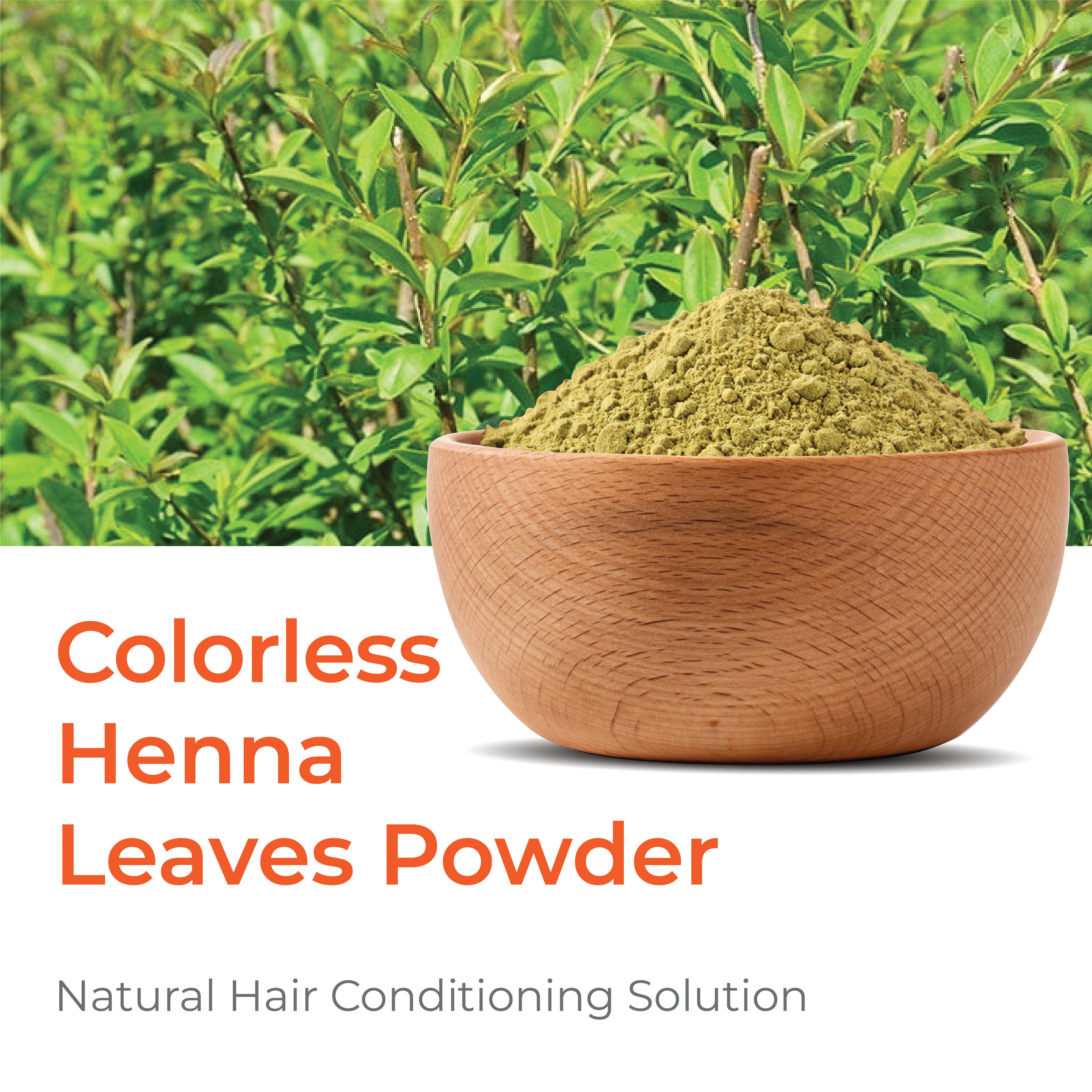 Colorless Henna Leaves Powder