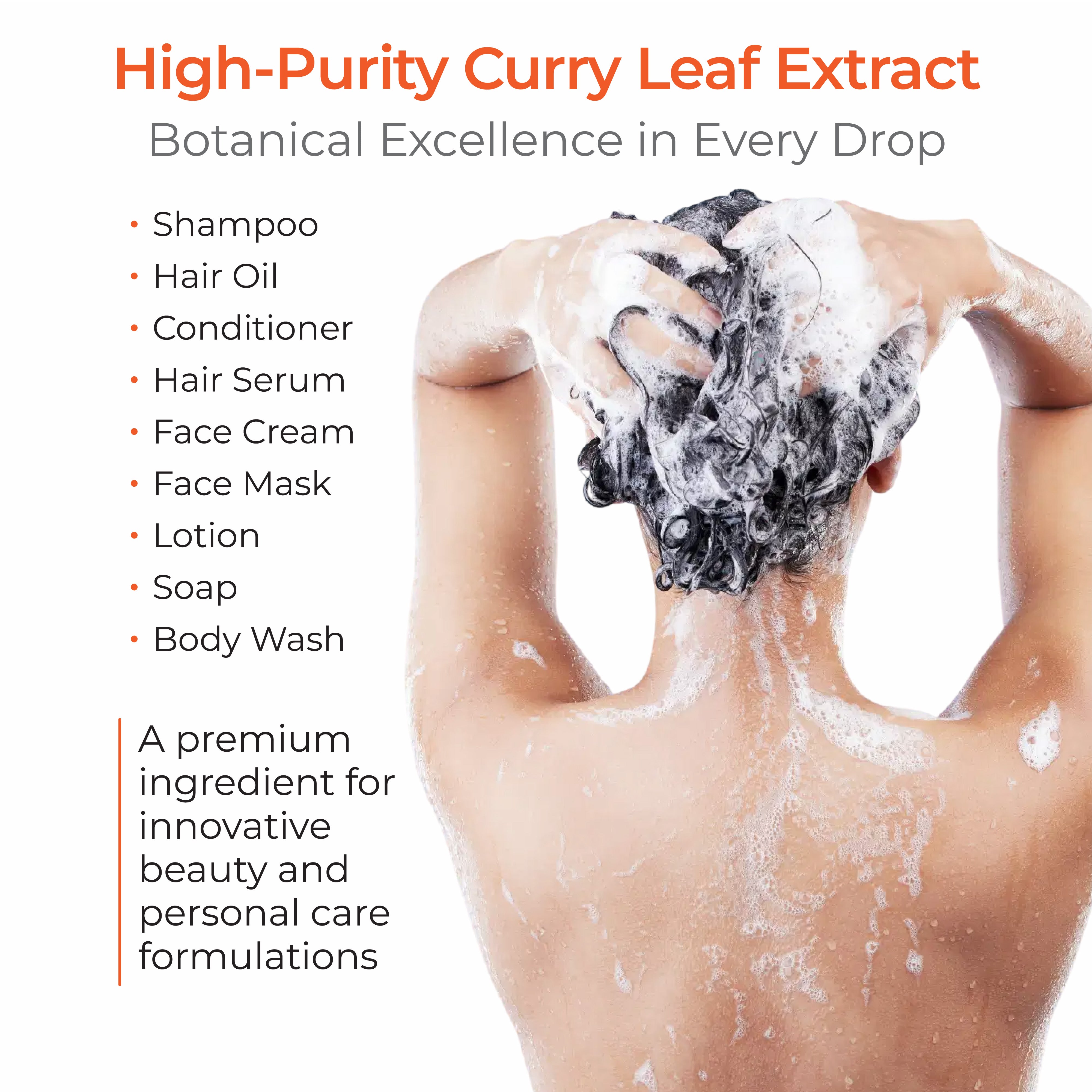 Curry Leaf Extract