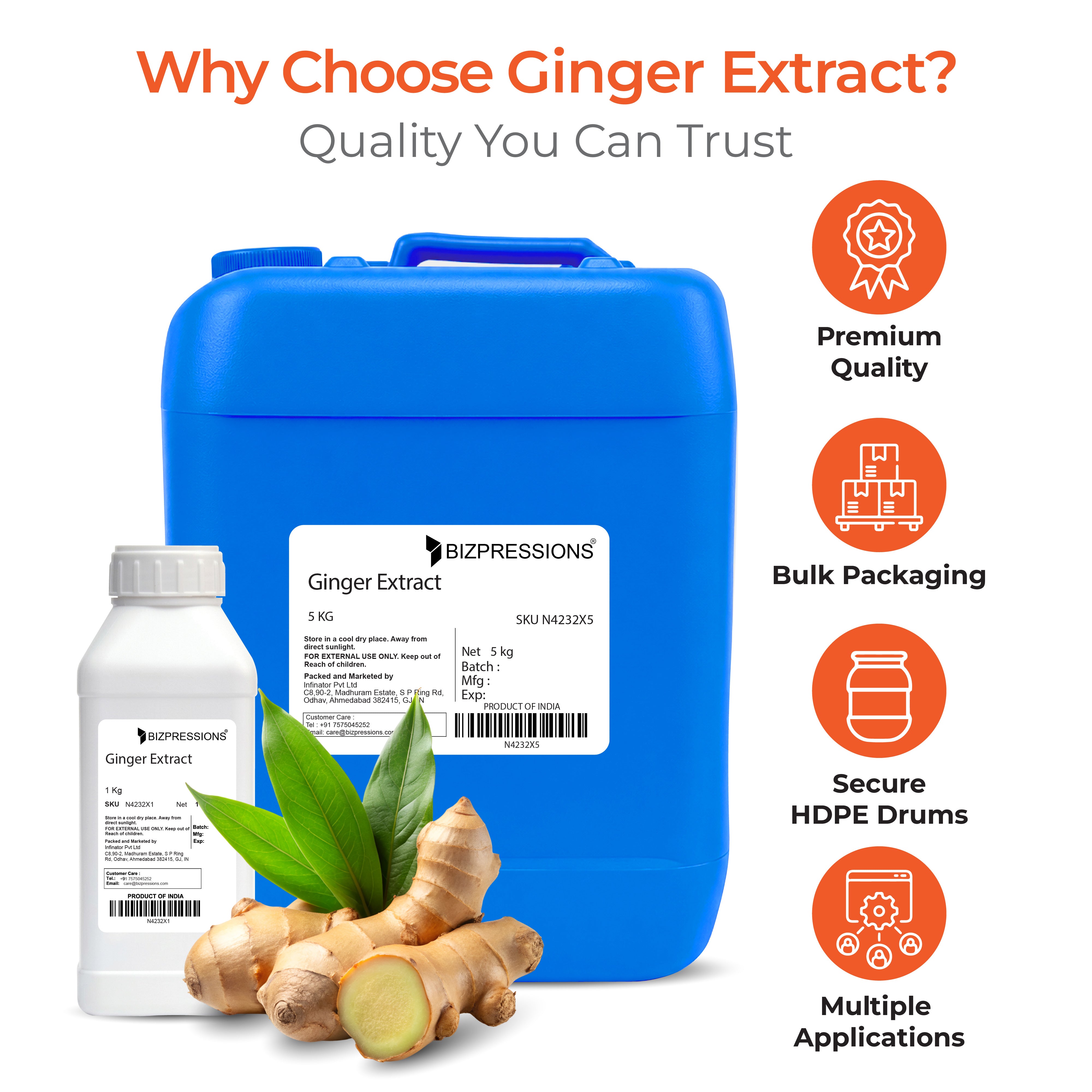 Ginger Extract