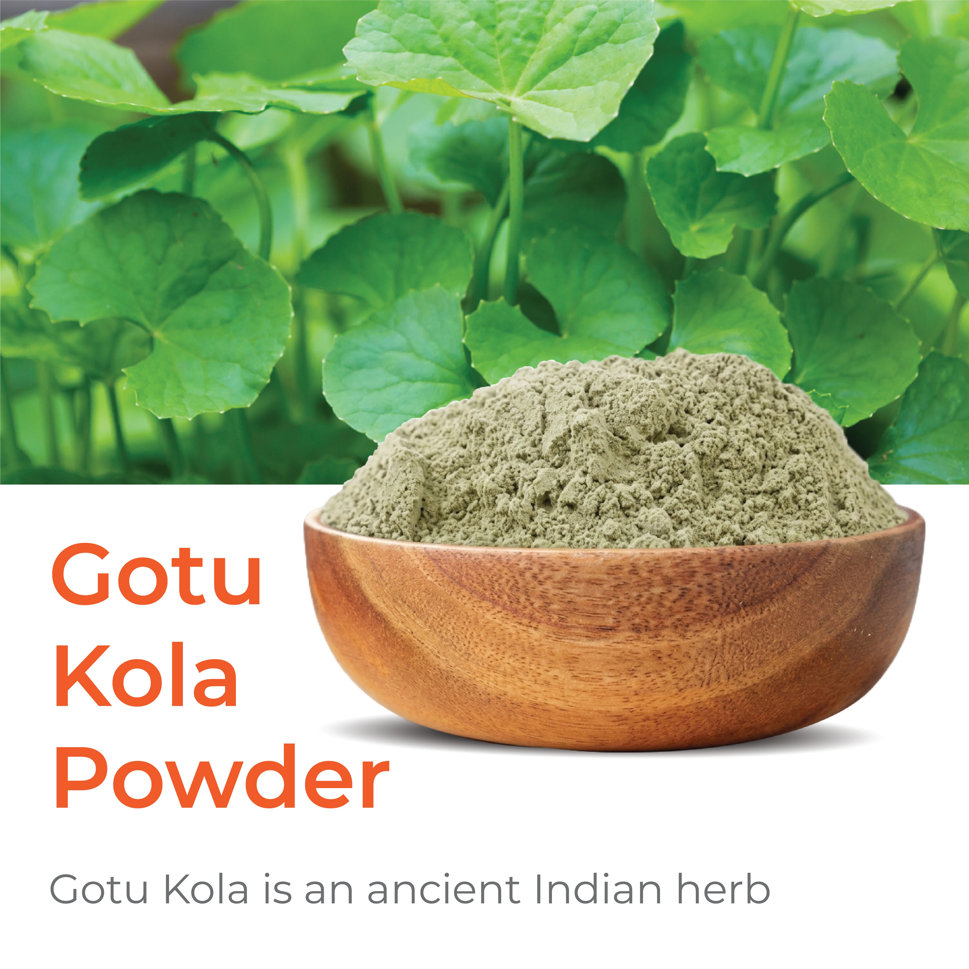 Gotu Kola Herbal Powder